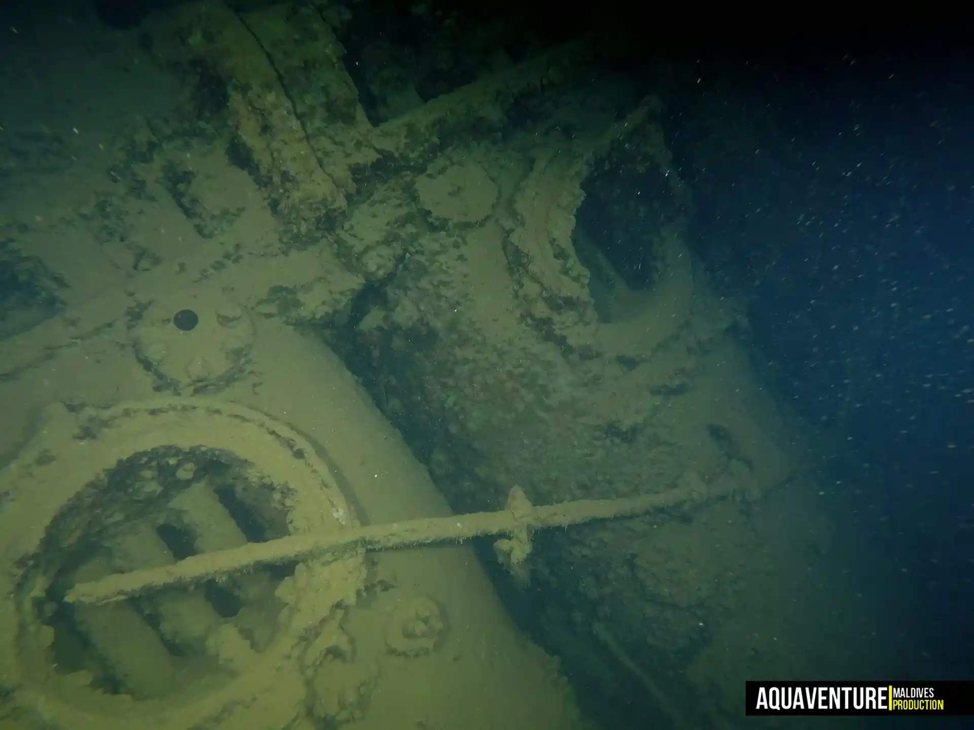 Foto del sitio de buceo