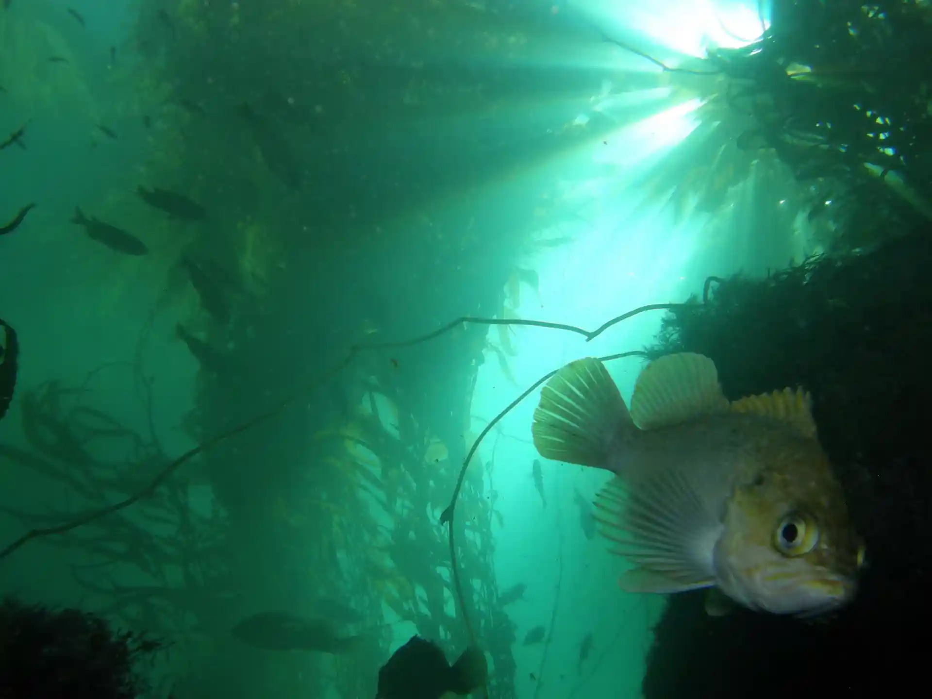 Dive shop photo