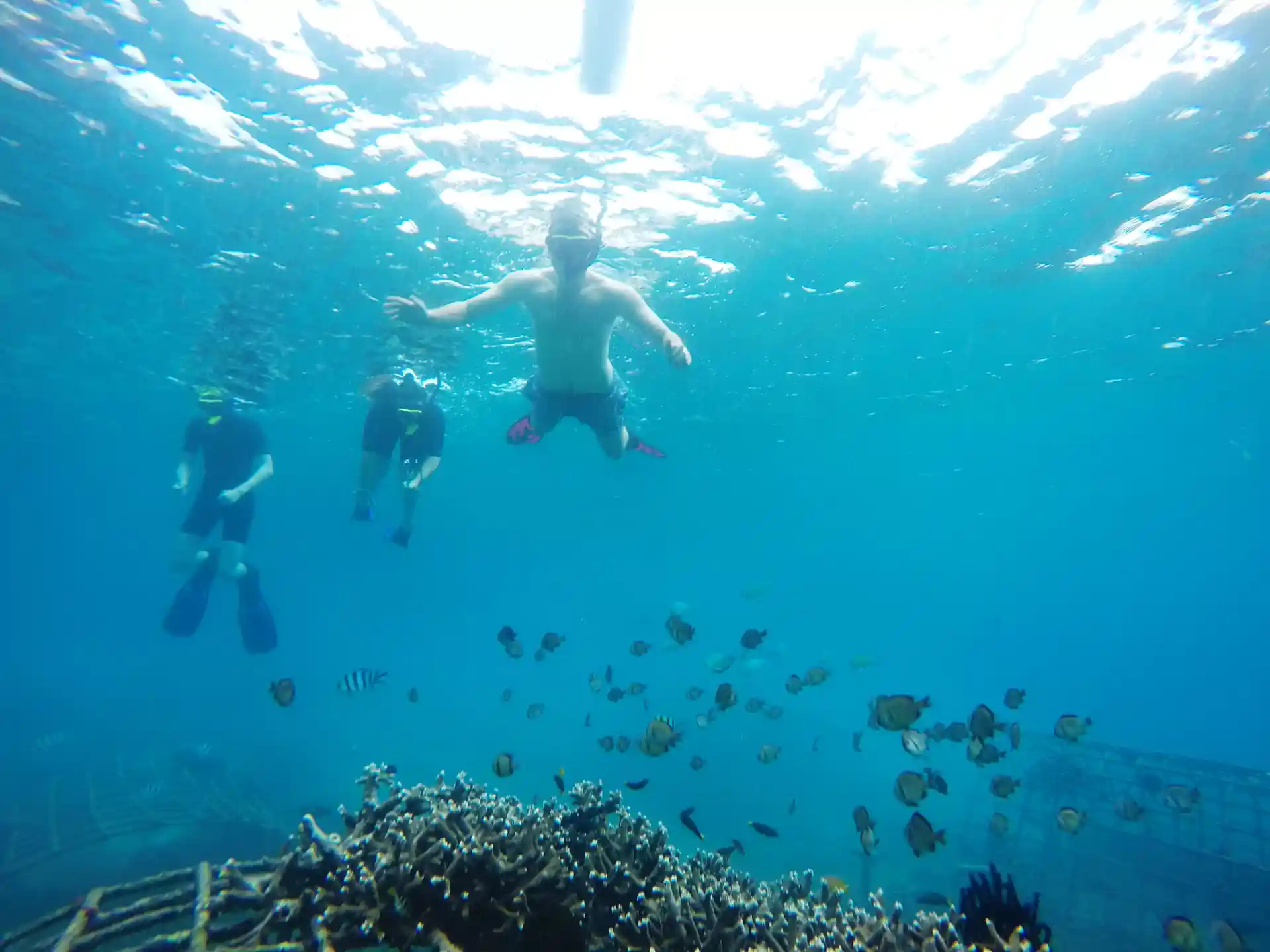 Foto de la actividad