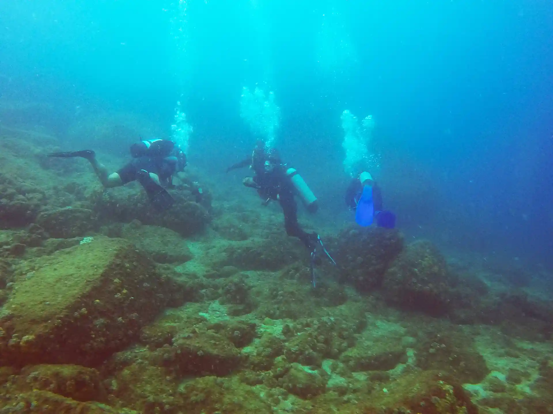 Dive site photo