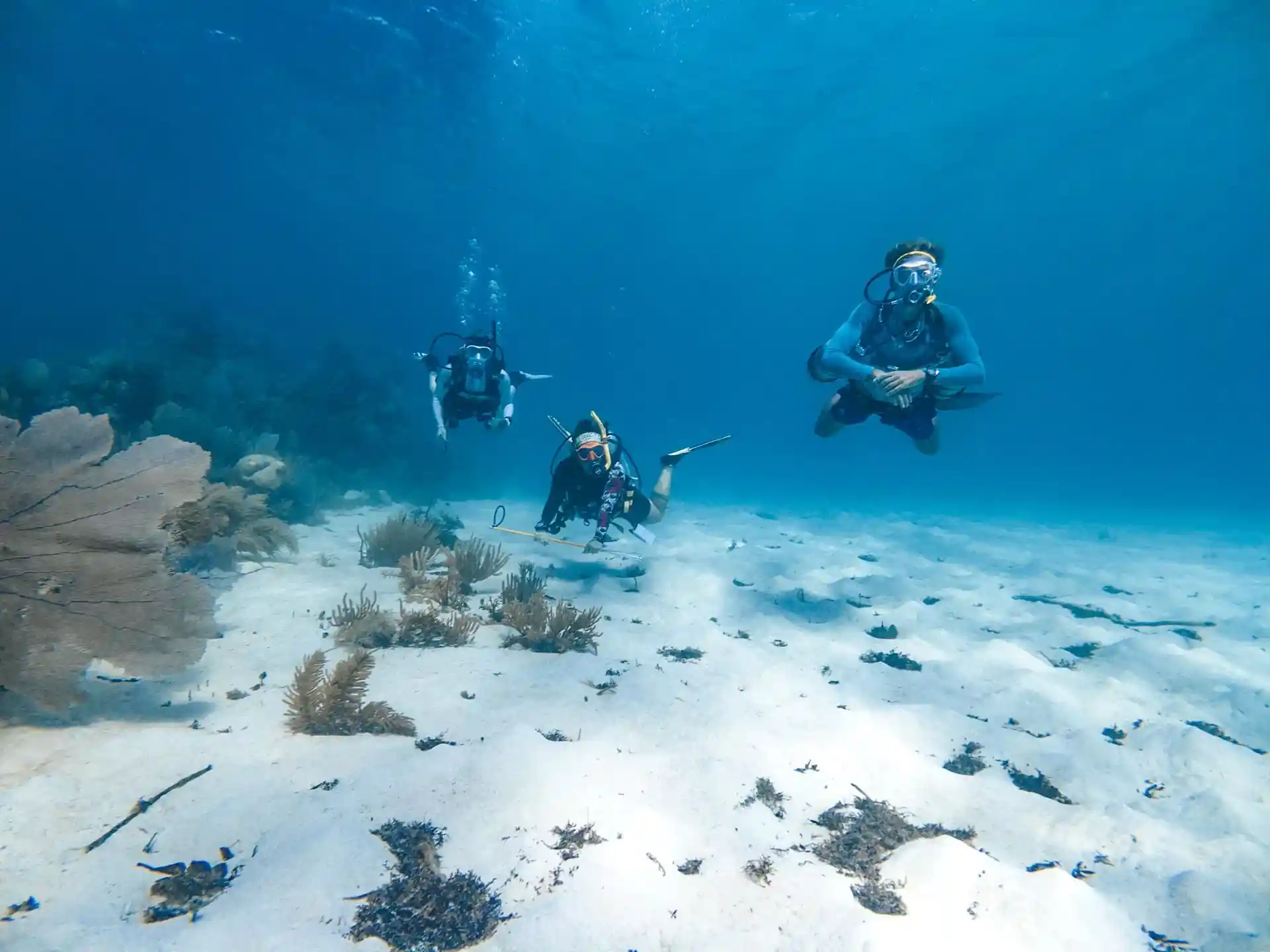 Foto van de duiklocatie