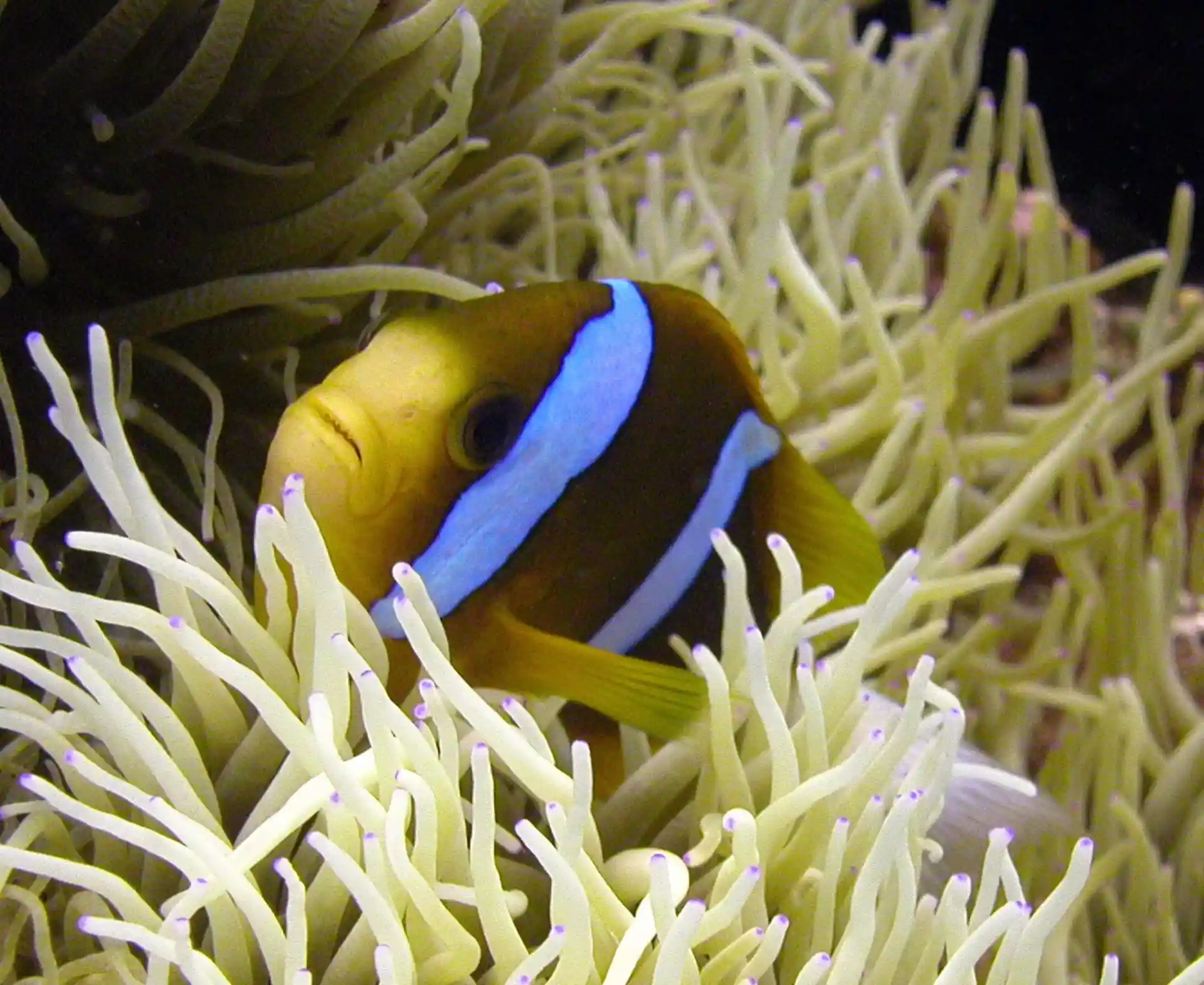 Dive site photo