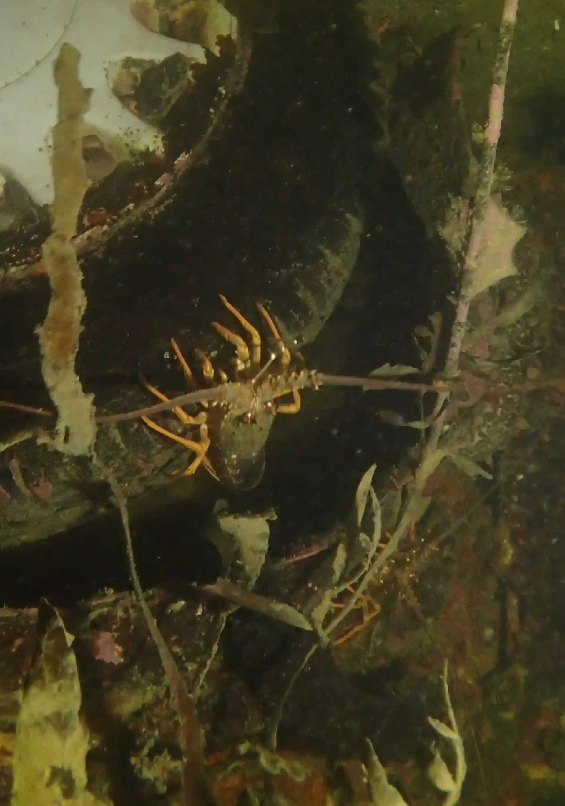 Dive site photo