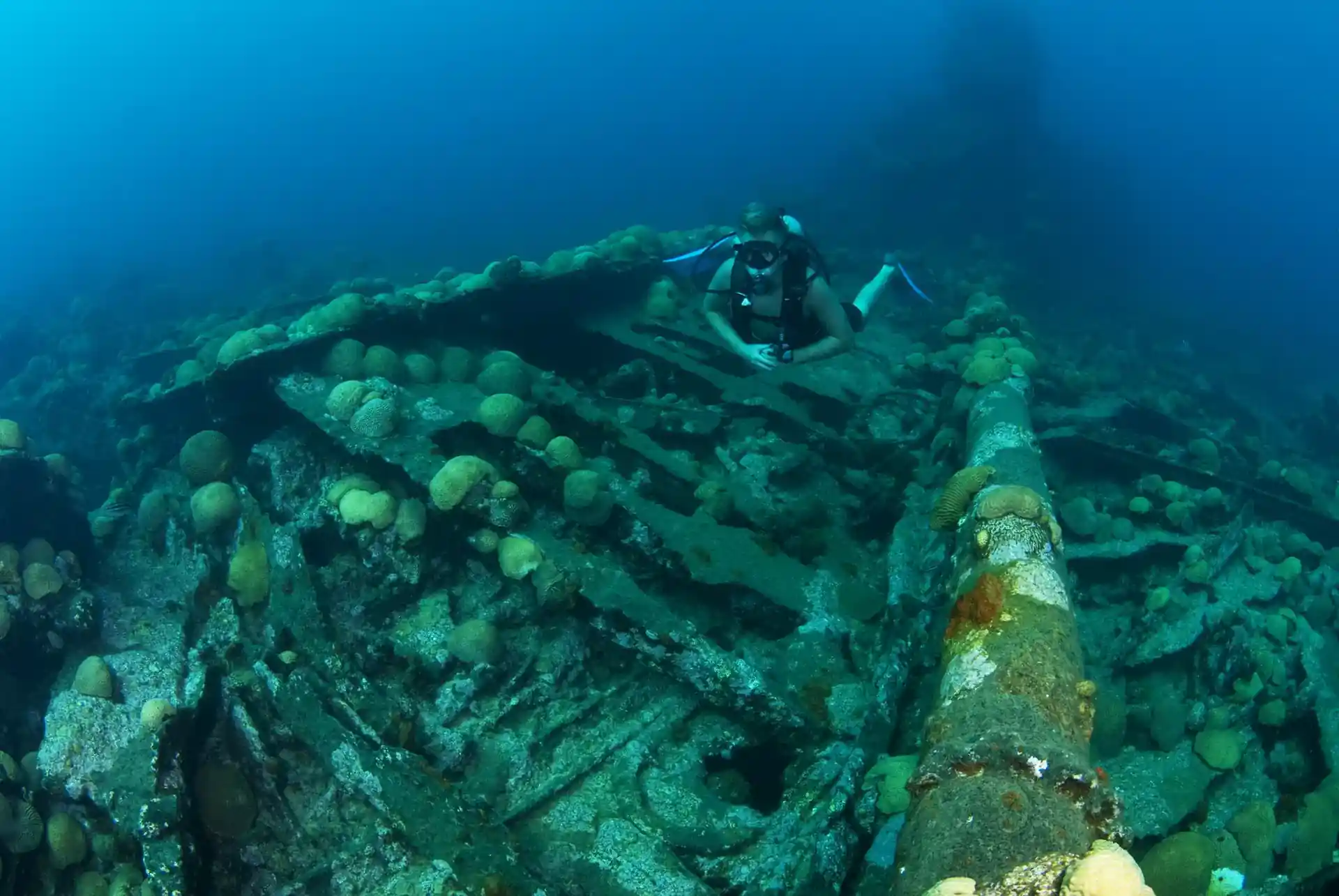 다이빙 포인트 사진