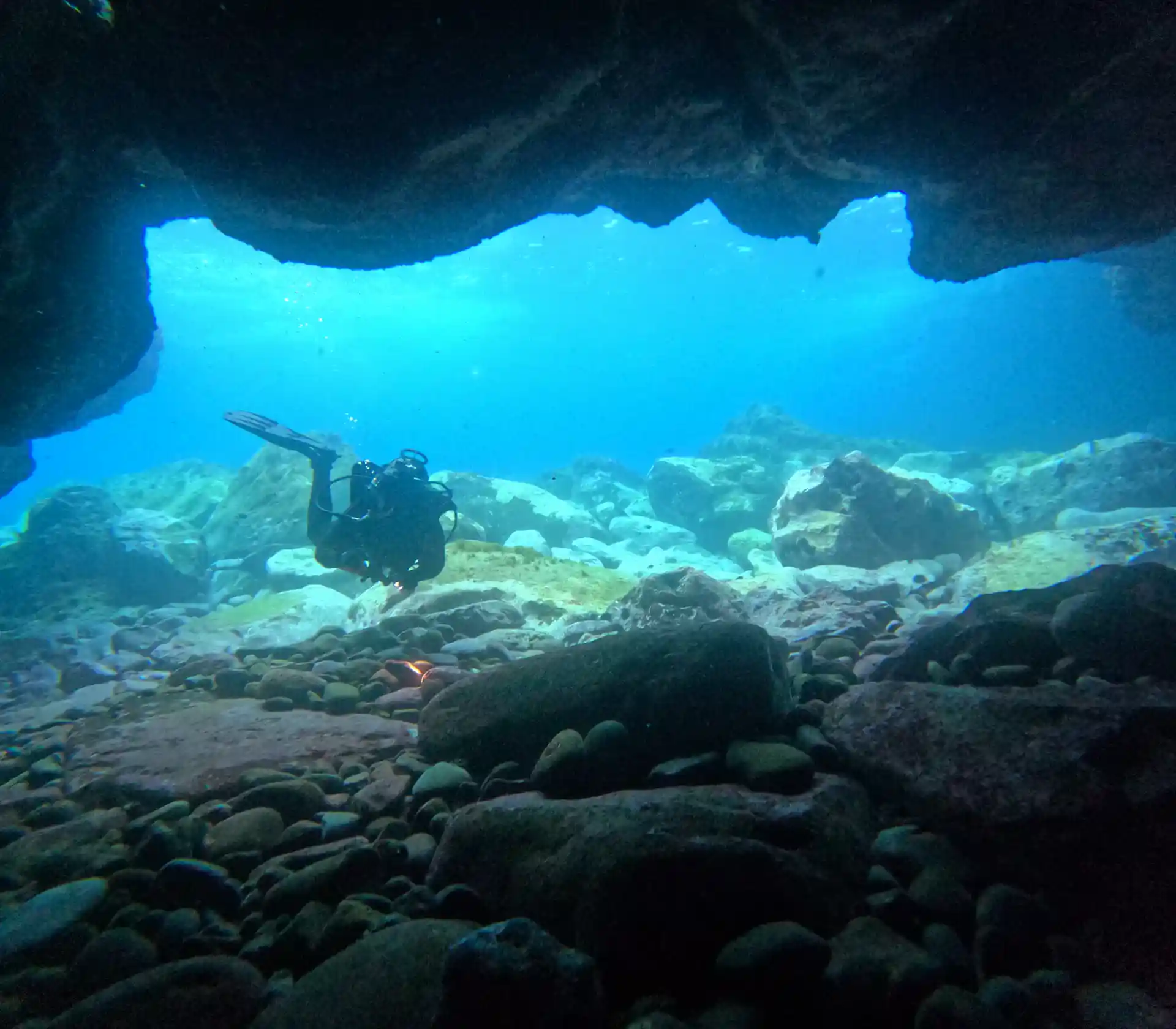 Photo de l'activité