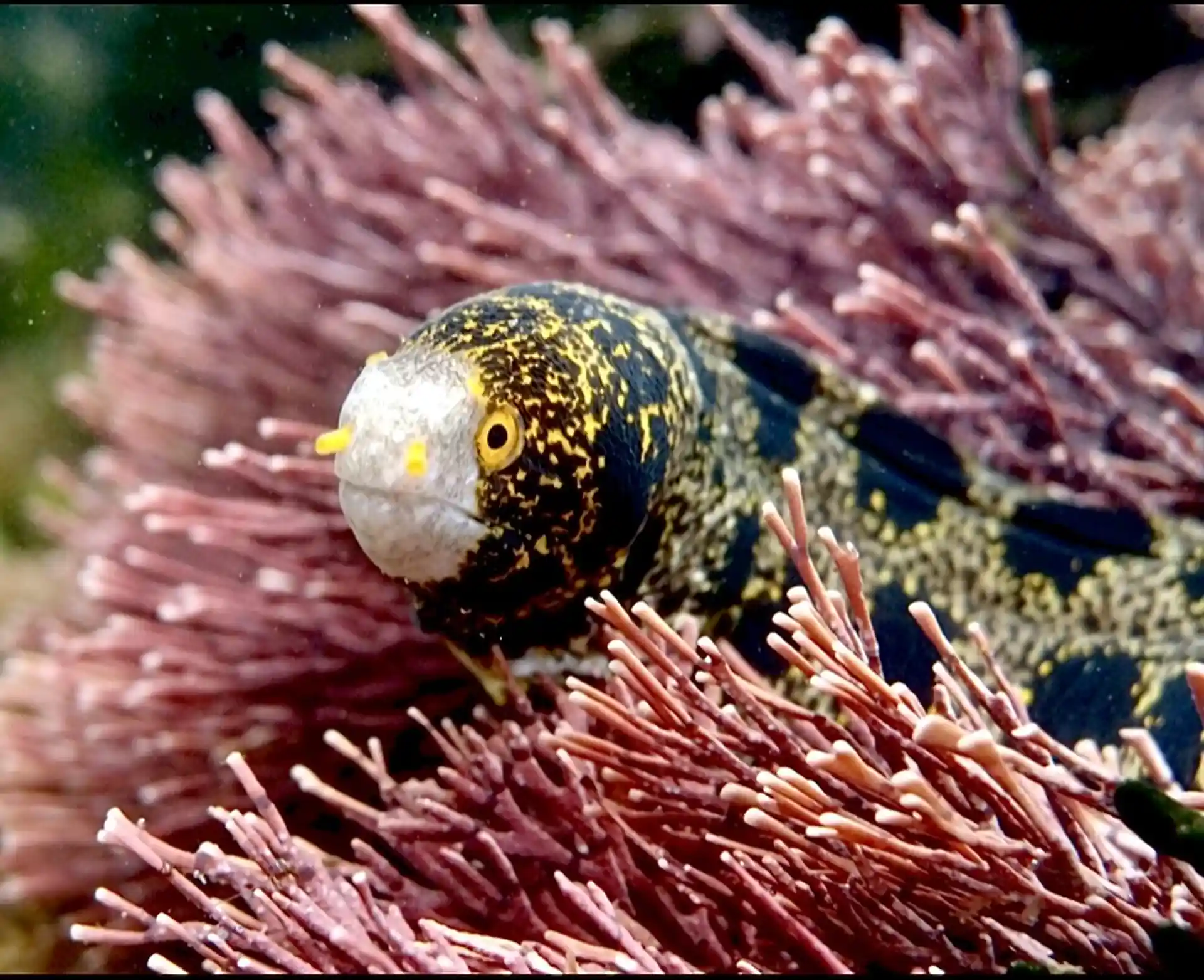 다이빙 샵 사진