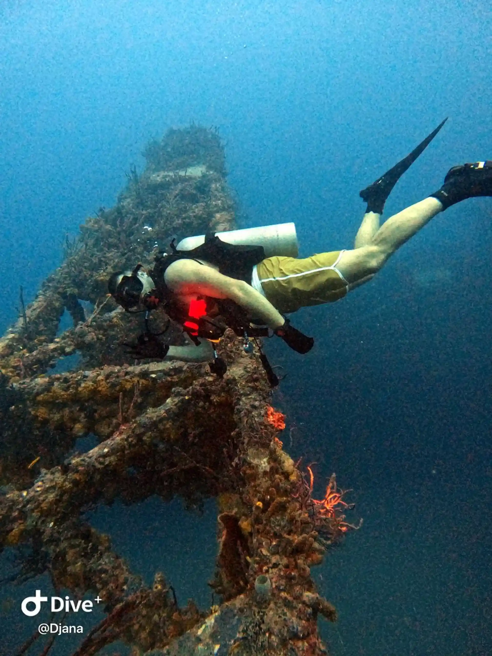 Dive shop photo