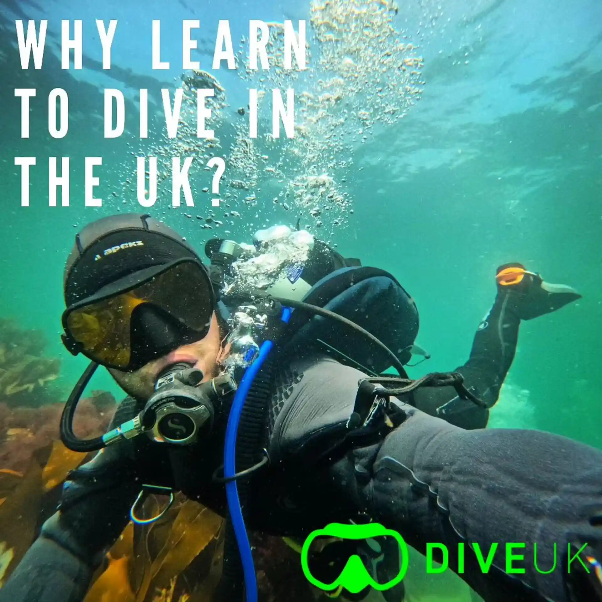 Dive shop photo