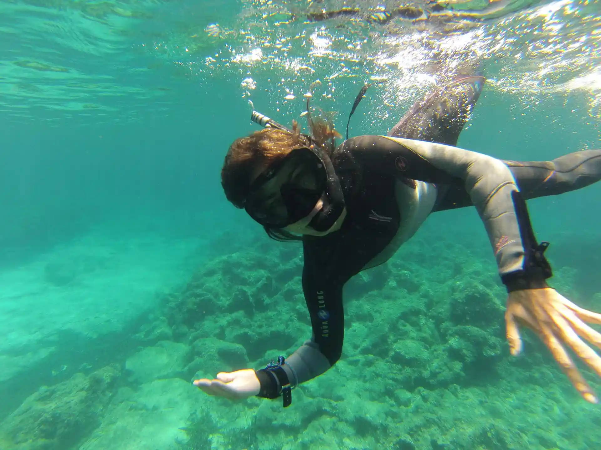 Photo de l'activité