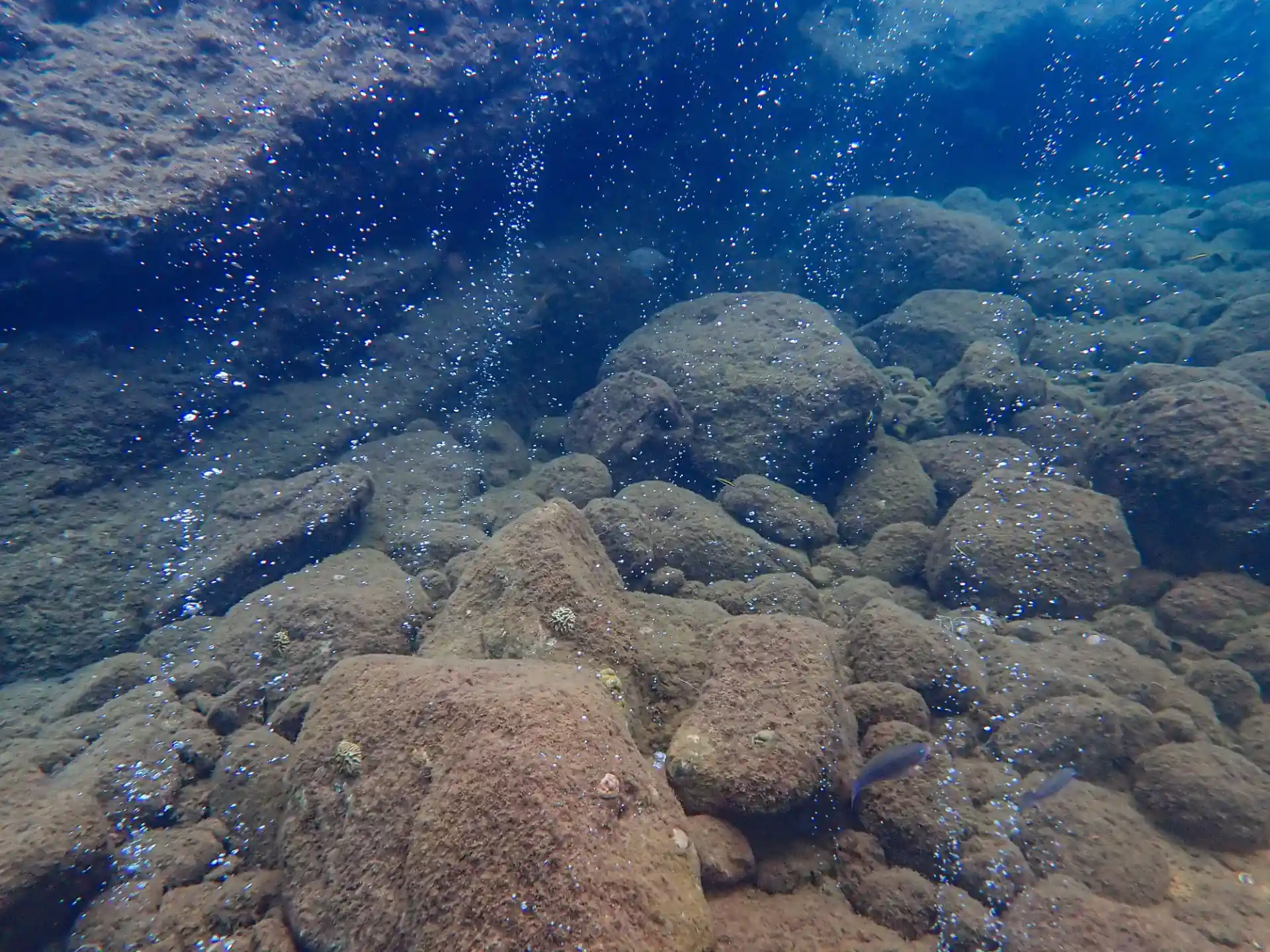 Dive site photo