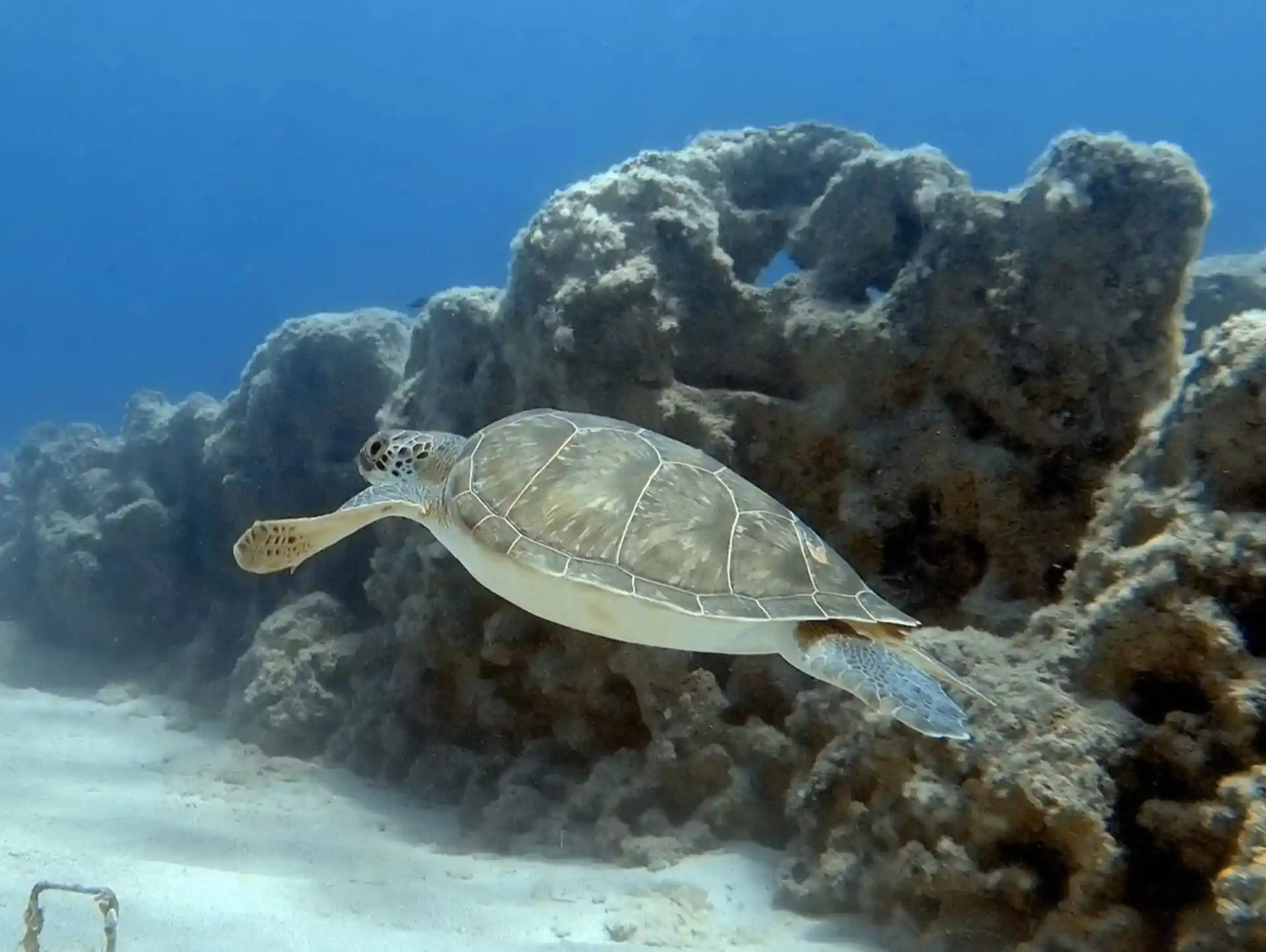 Photo de l'activité