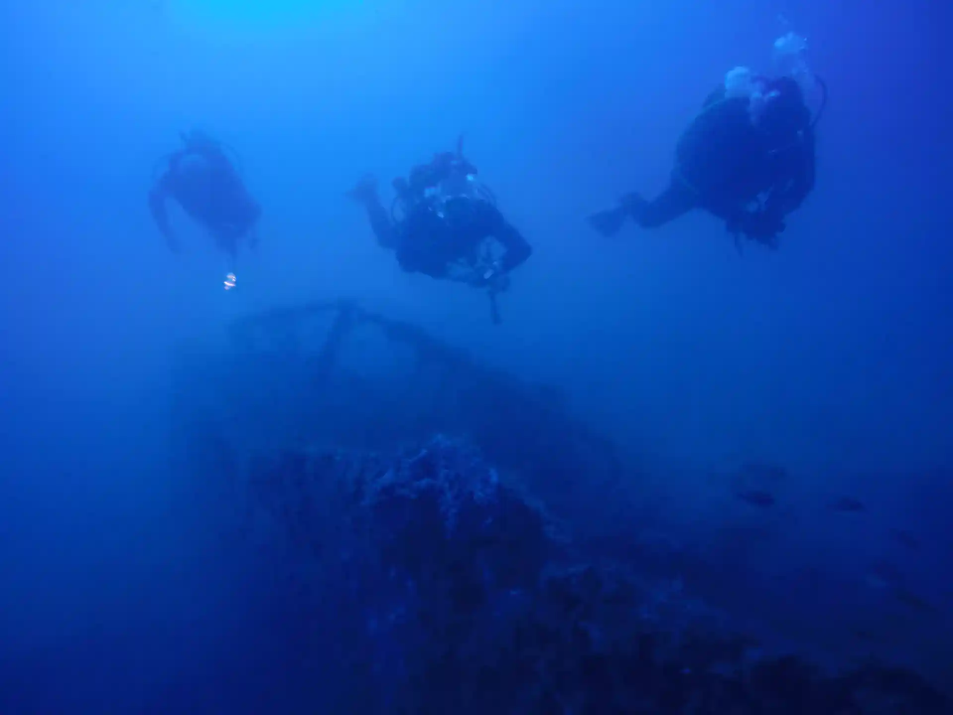 Foto de la actividad