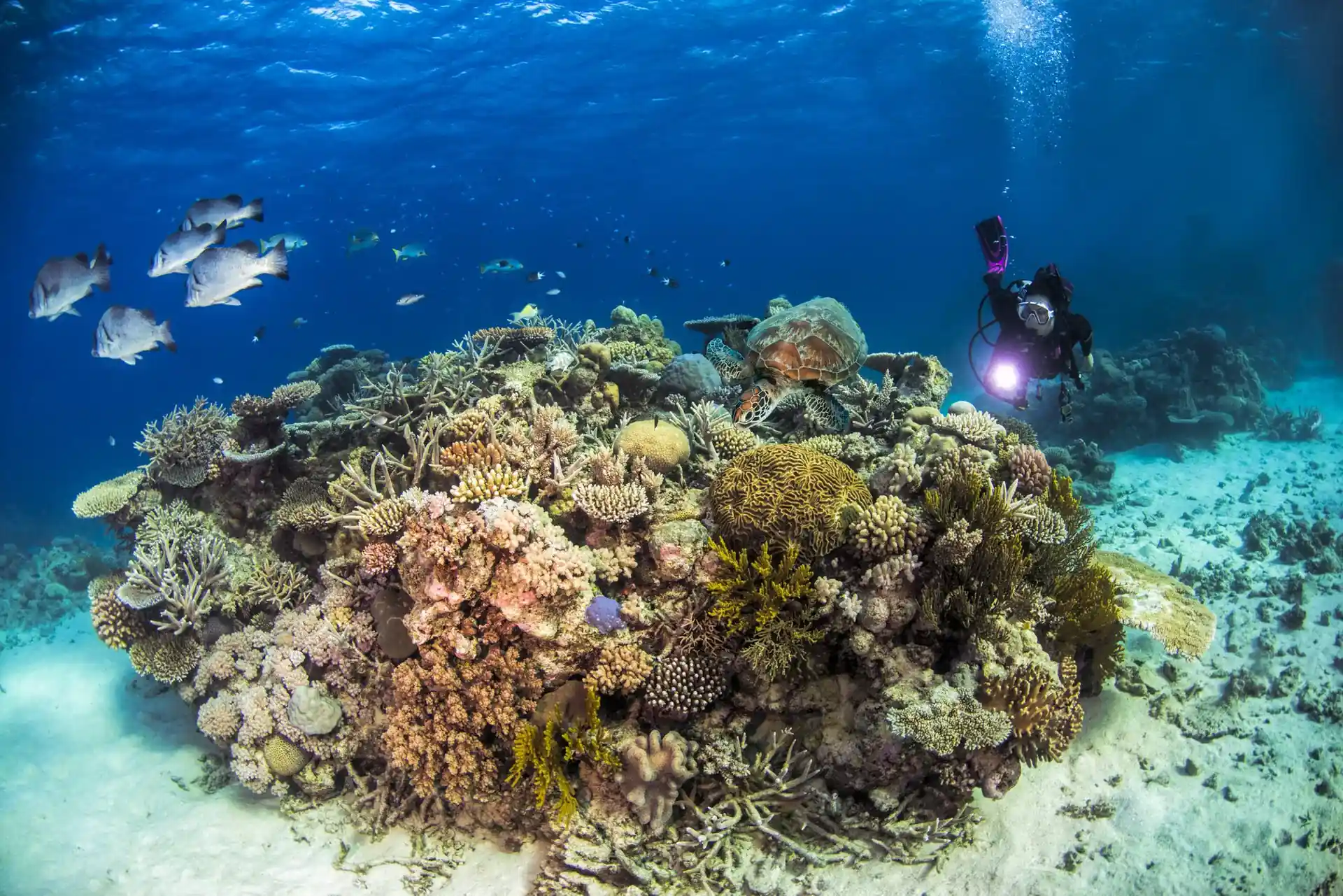 Dive site photo