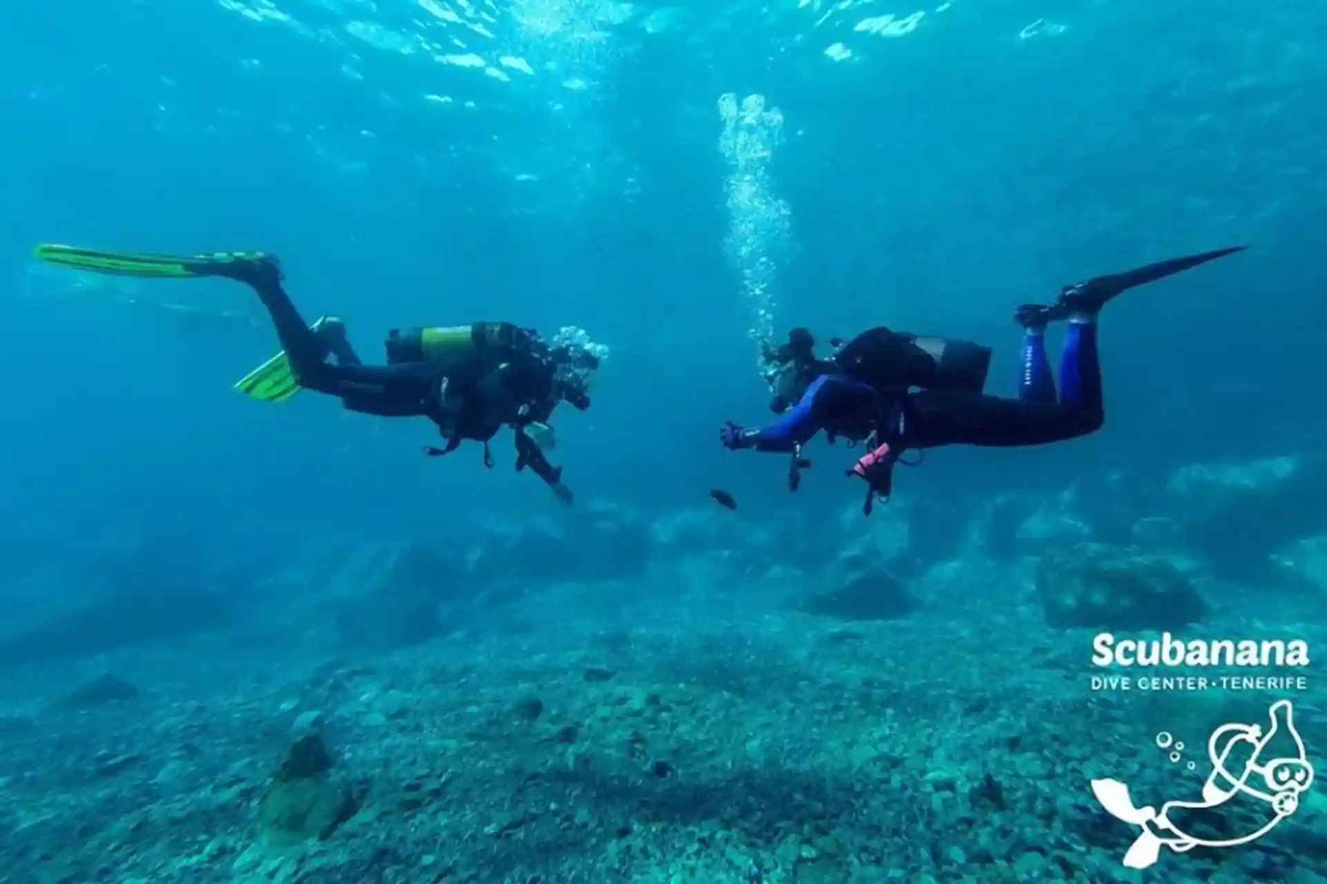 Foto de la actividad