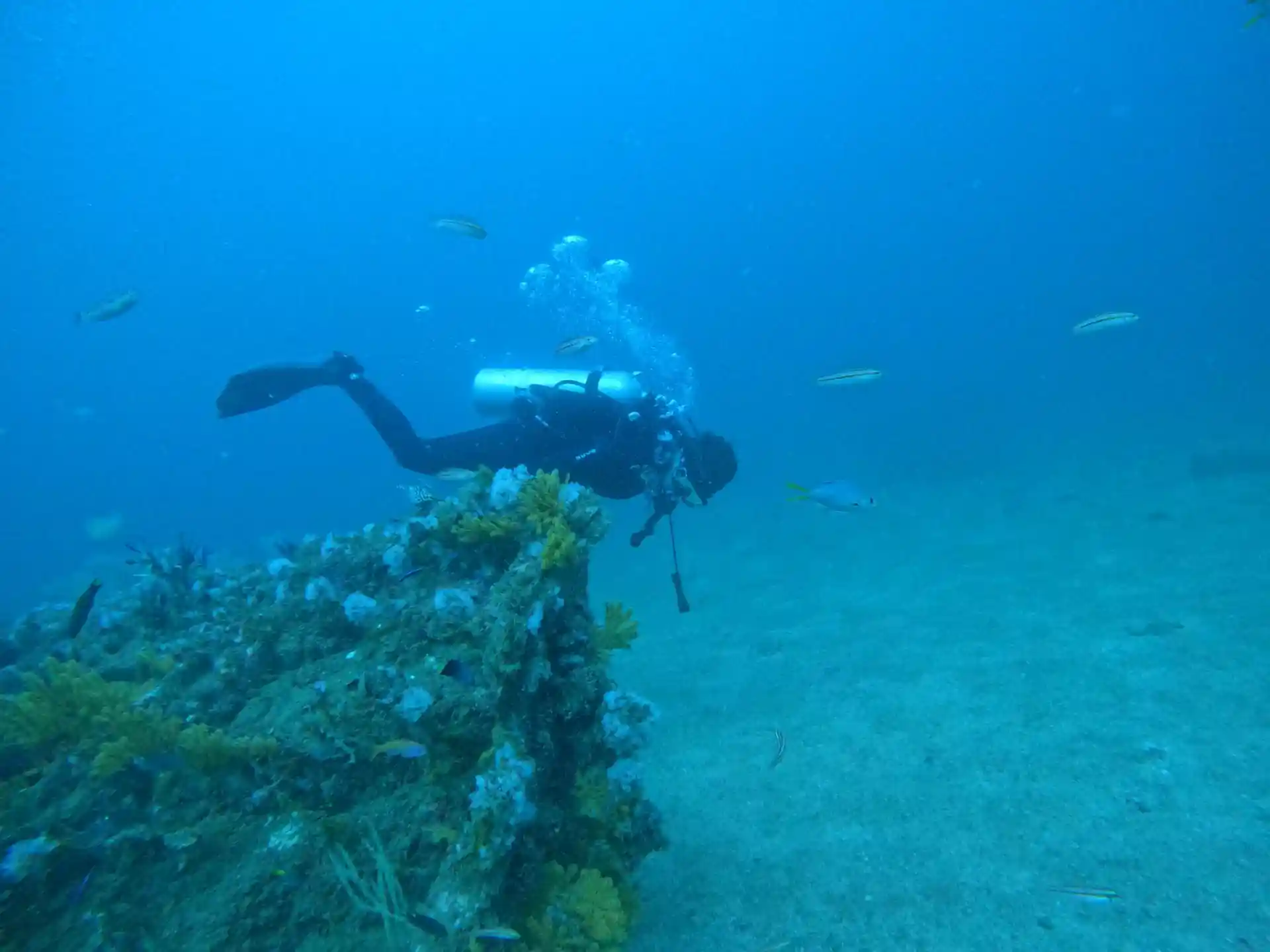 Dive site photo