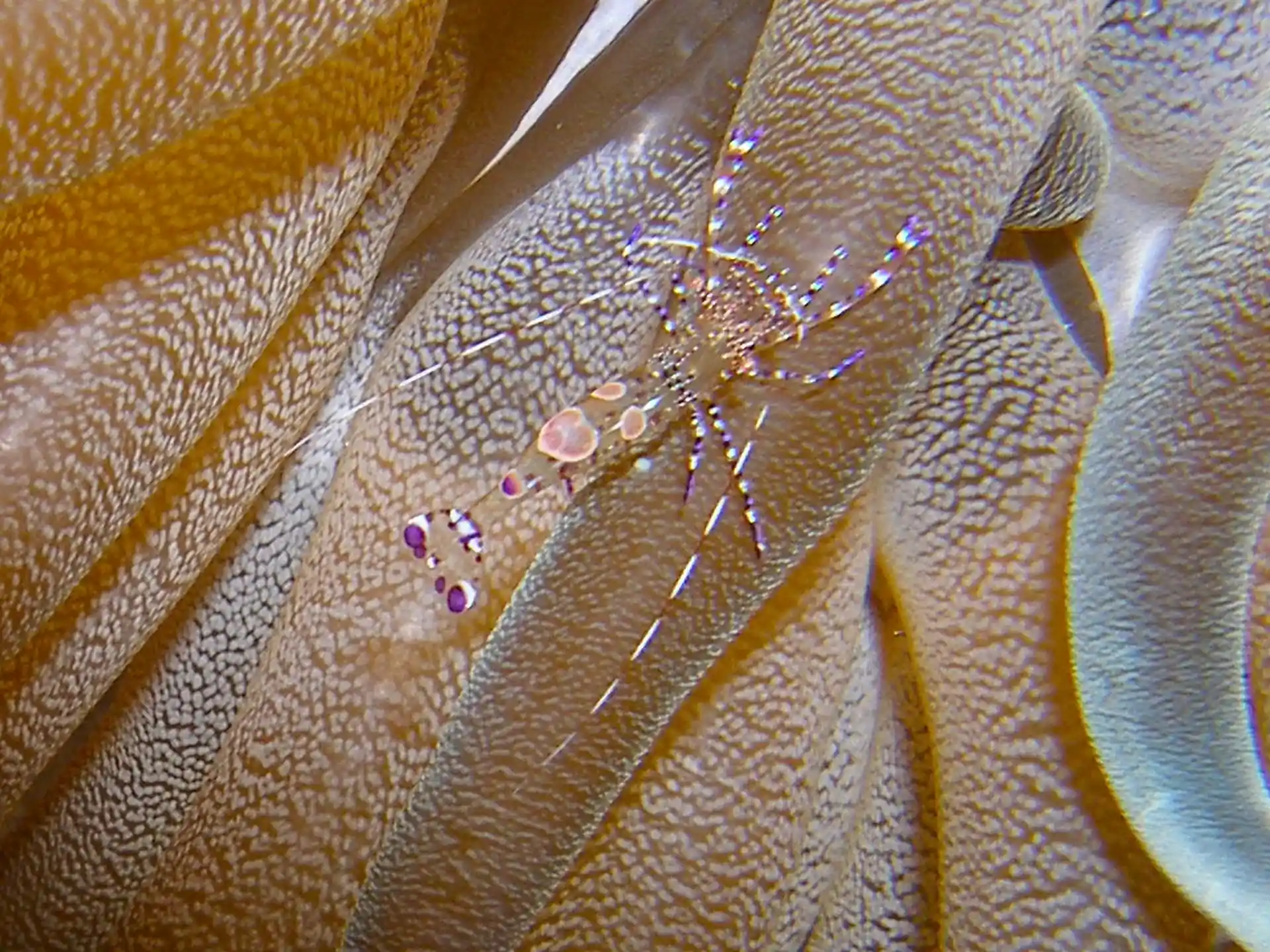 Foto de la actividad