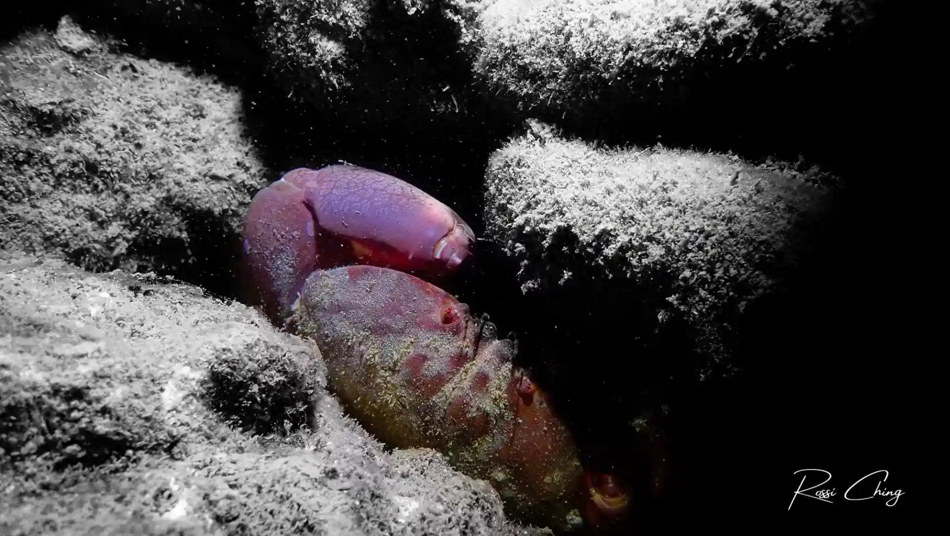 Foto des Tauchplatzes