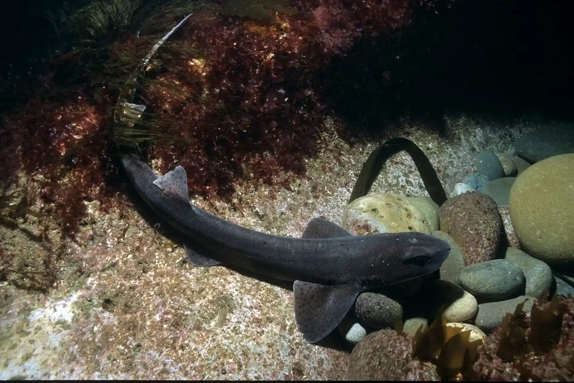 다이빙 포인트 사진