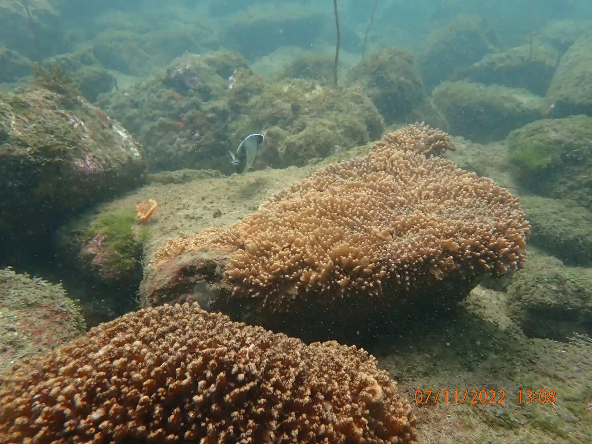 다이빙 포인트 사진