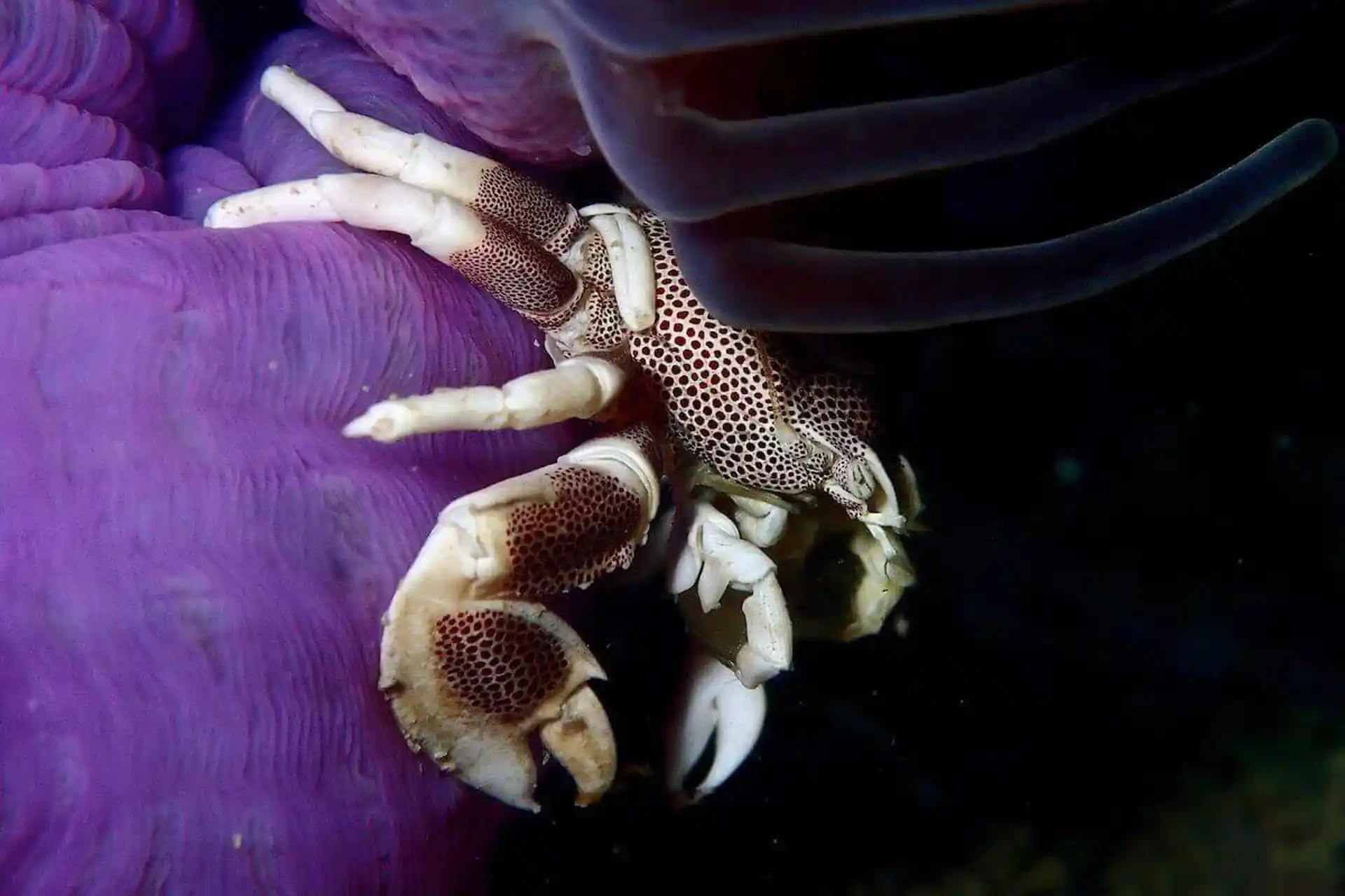 다이빙 포인트 사진