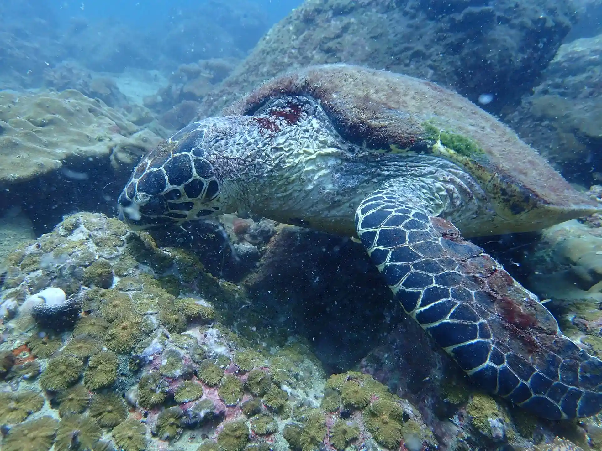 Dive site photo