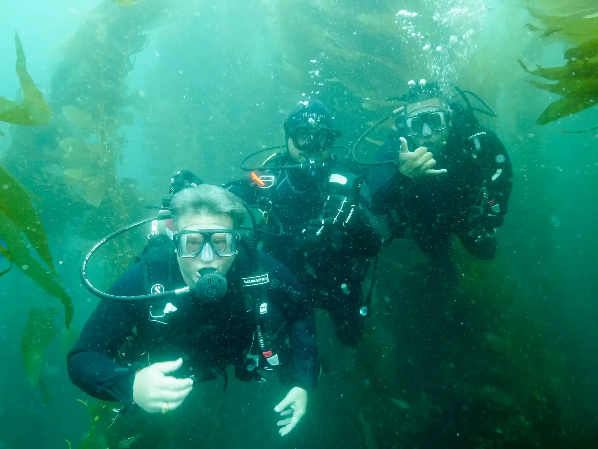 Scuba diving at Catalina Island.