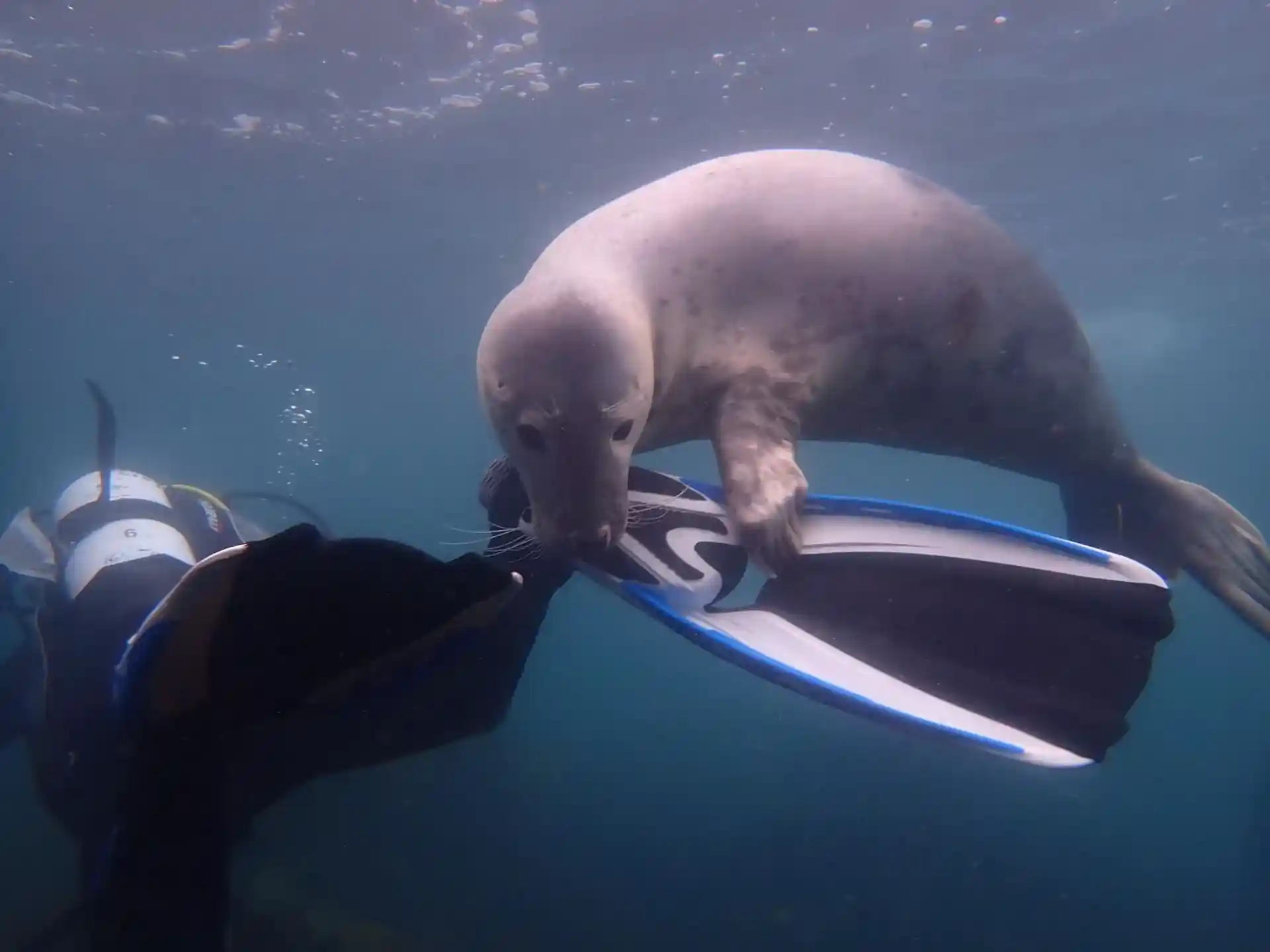 다이빙 포인트 사진