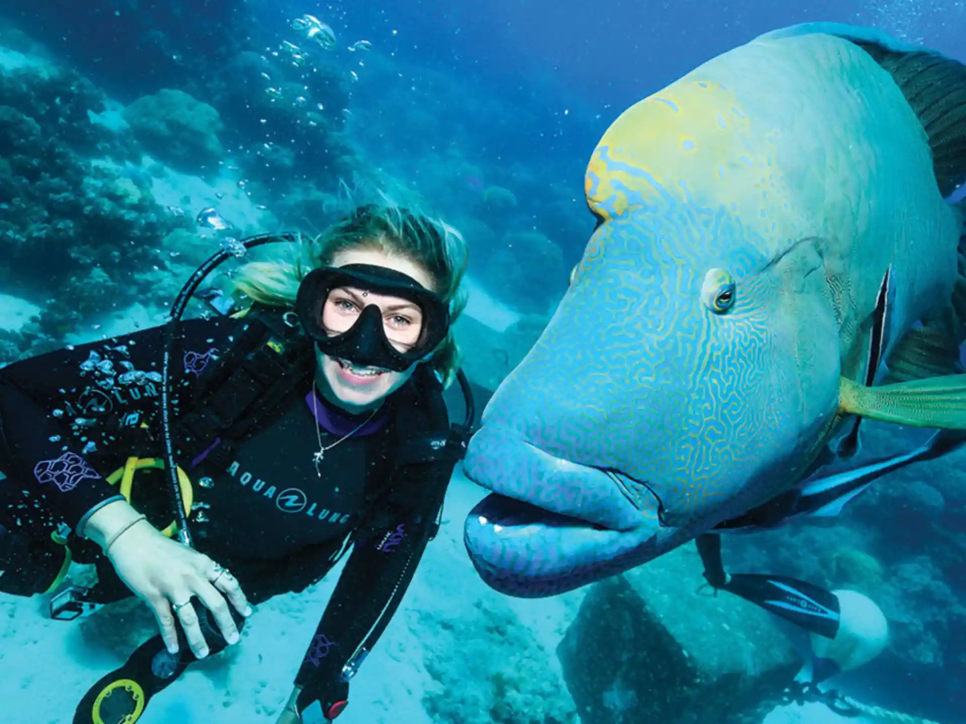 Dive shop photo