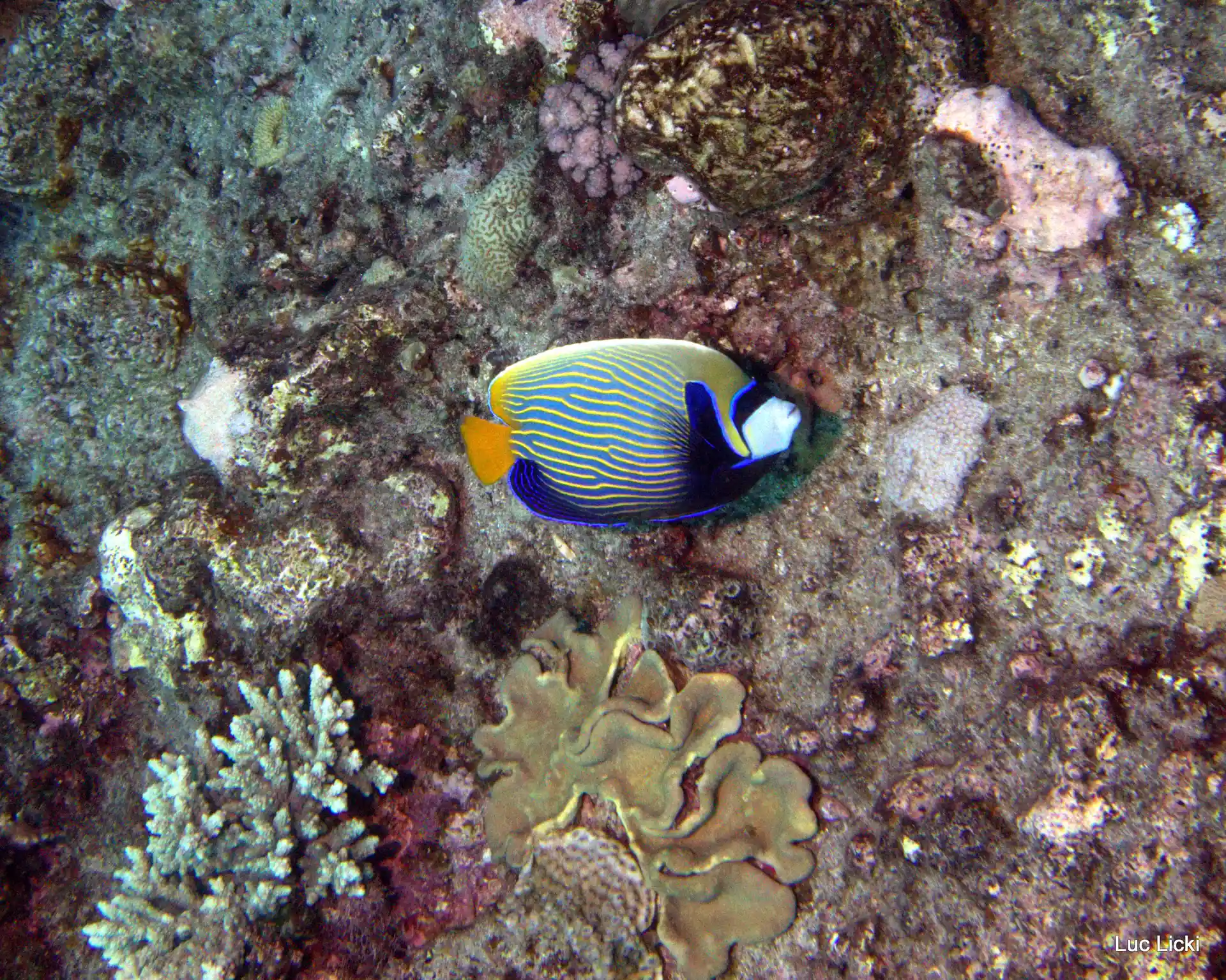 Photo de l'activité