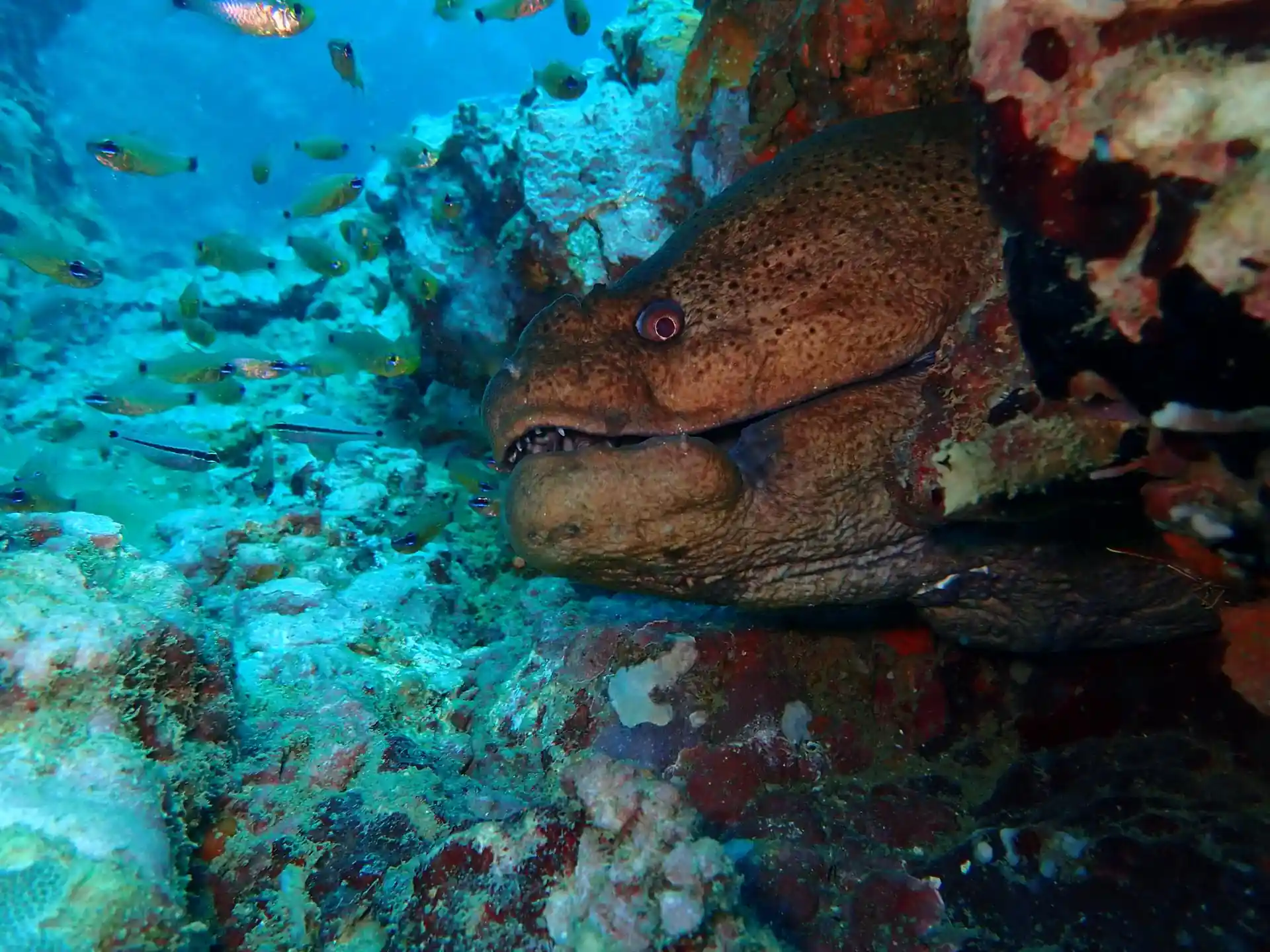 Dive site photo
