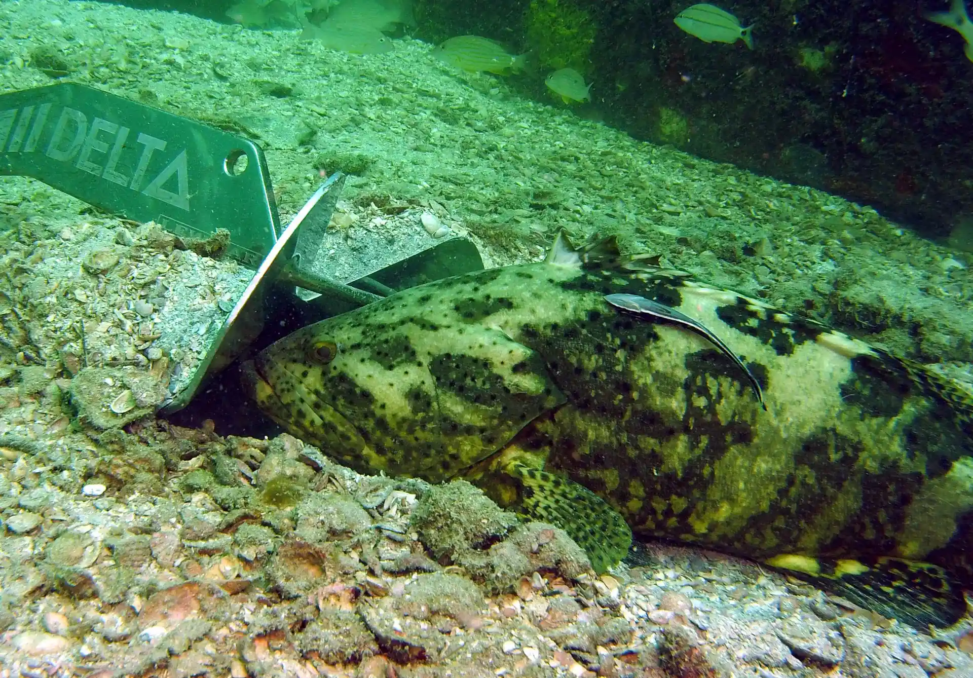 Dive site photo