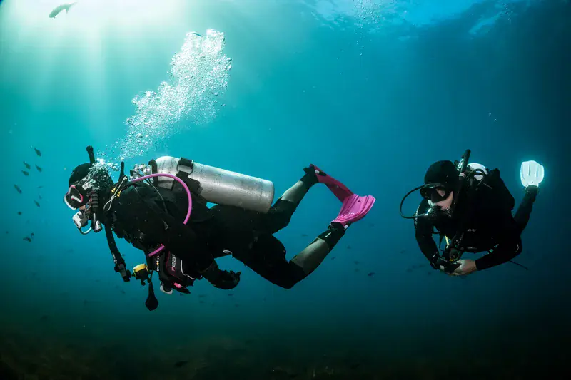 Dive operator picture