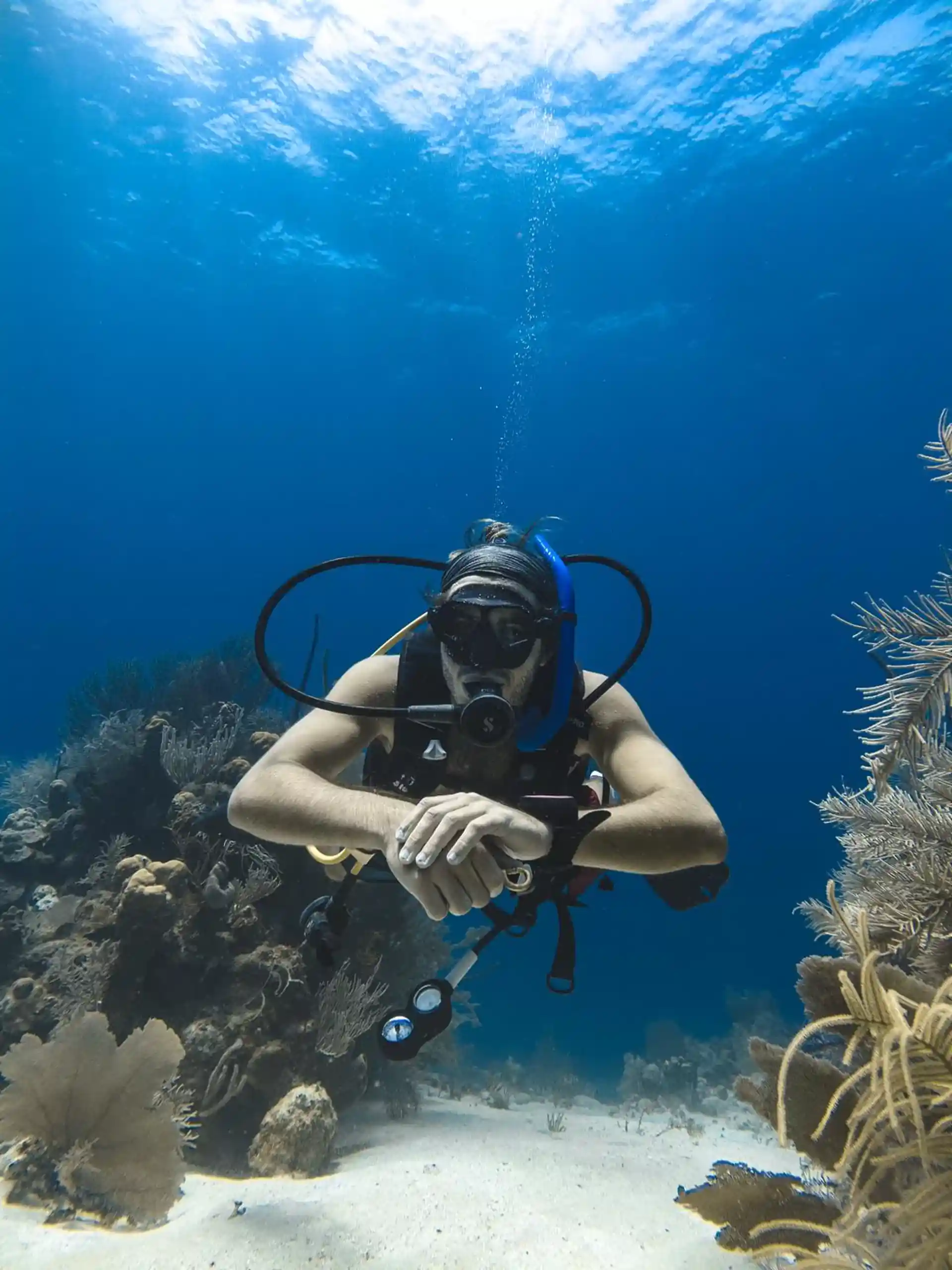 Dive site photo