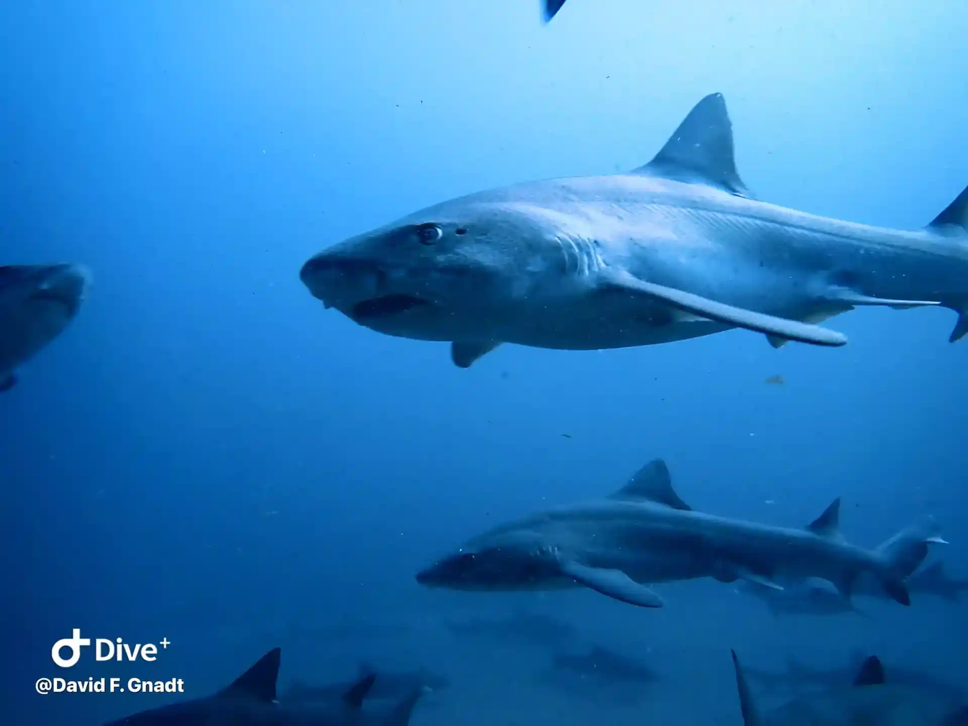 다이빙 포인트 사진