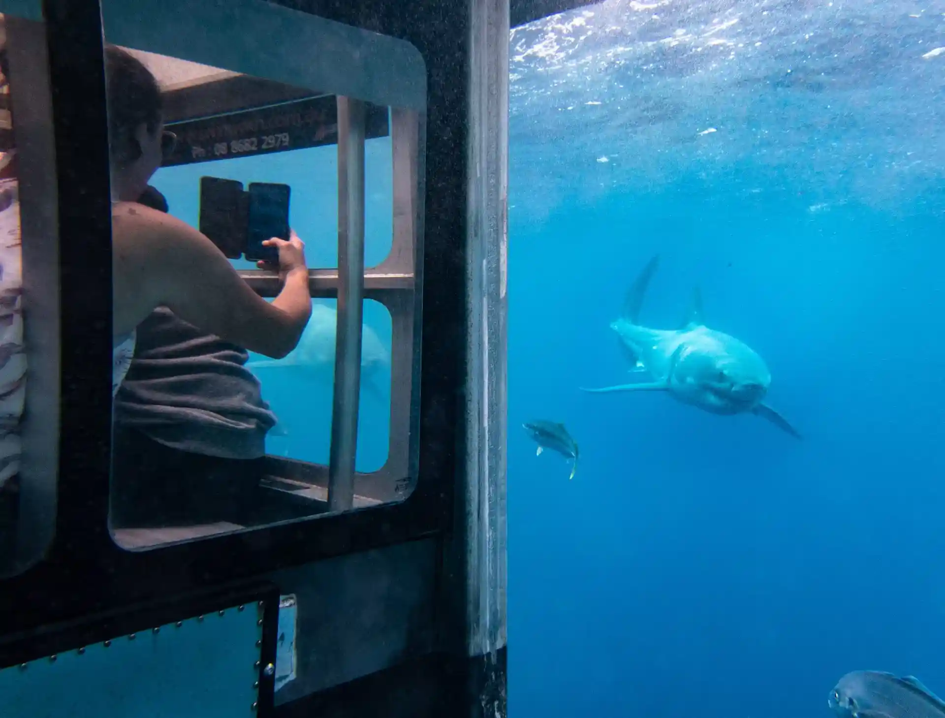 다이빙 포인트 사진