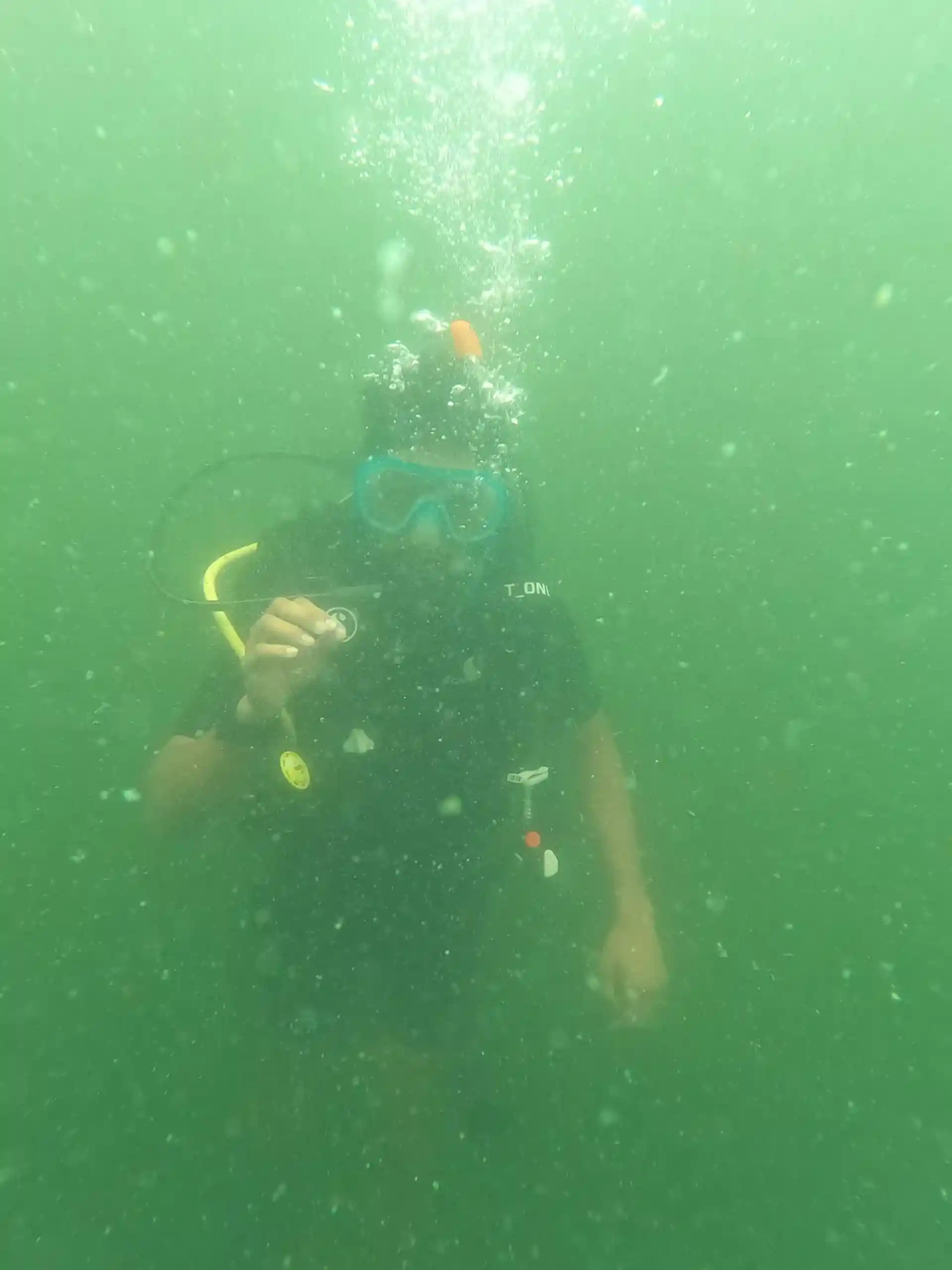 Dive site photo