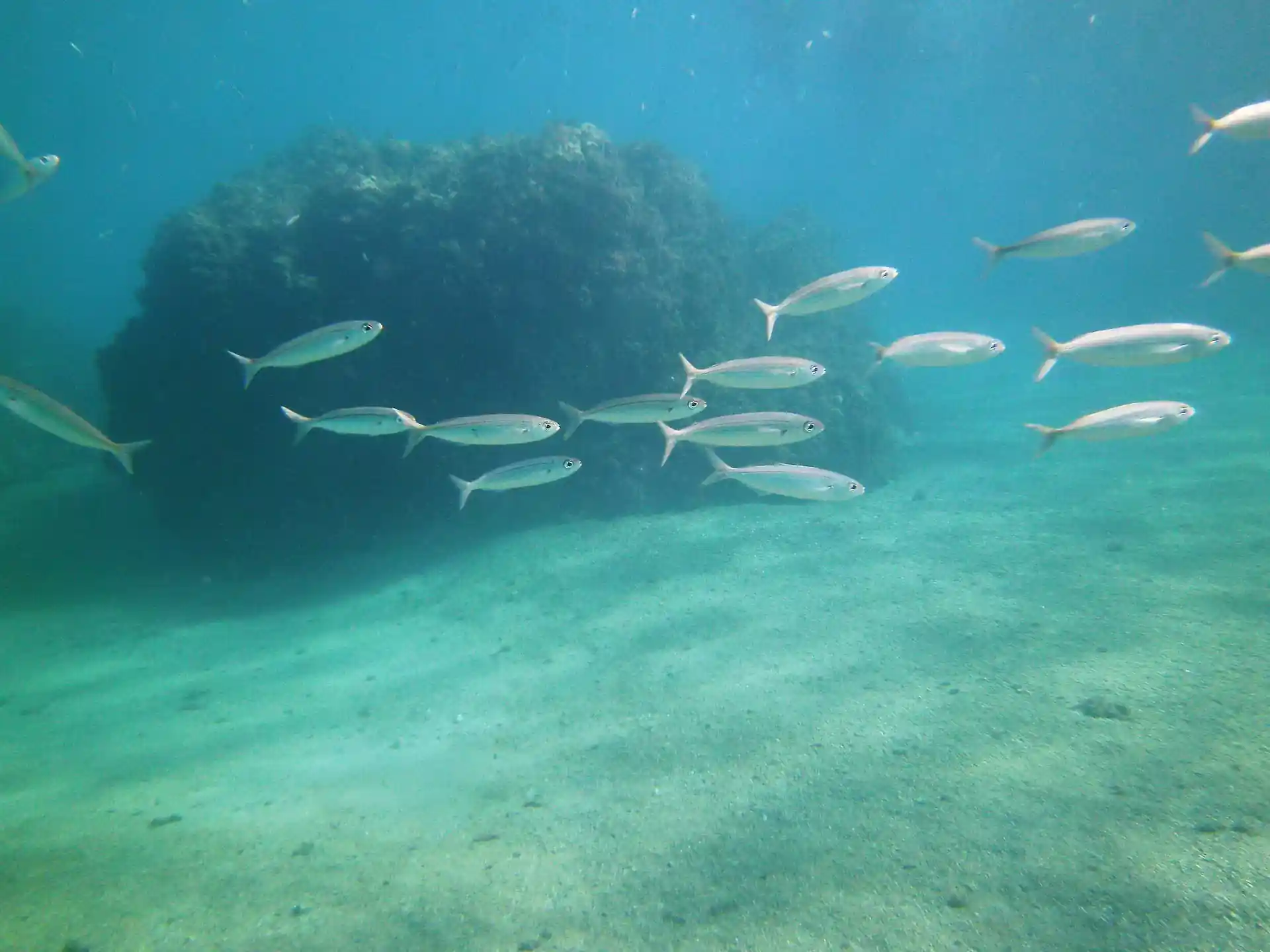 Foto des Tauchplatzes