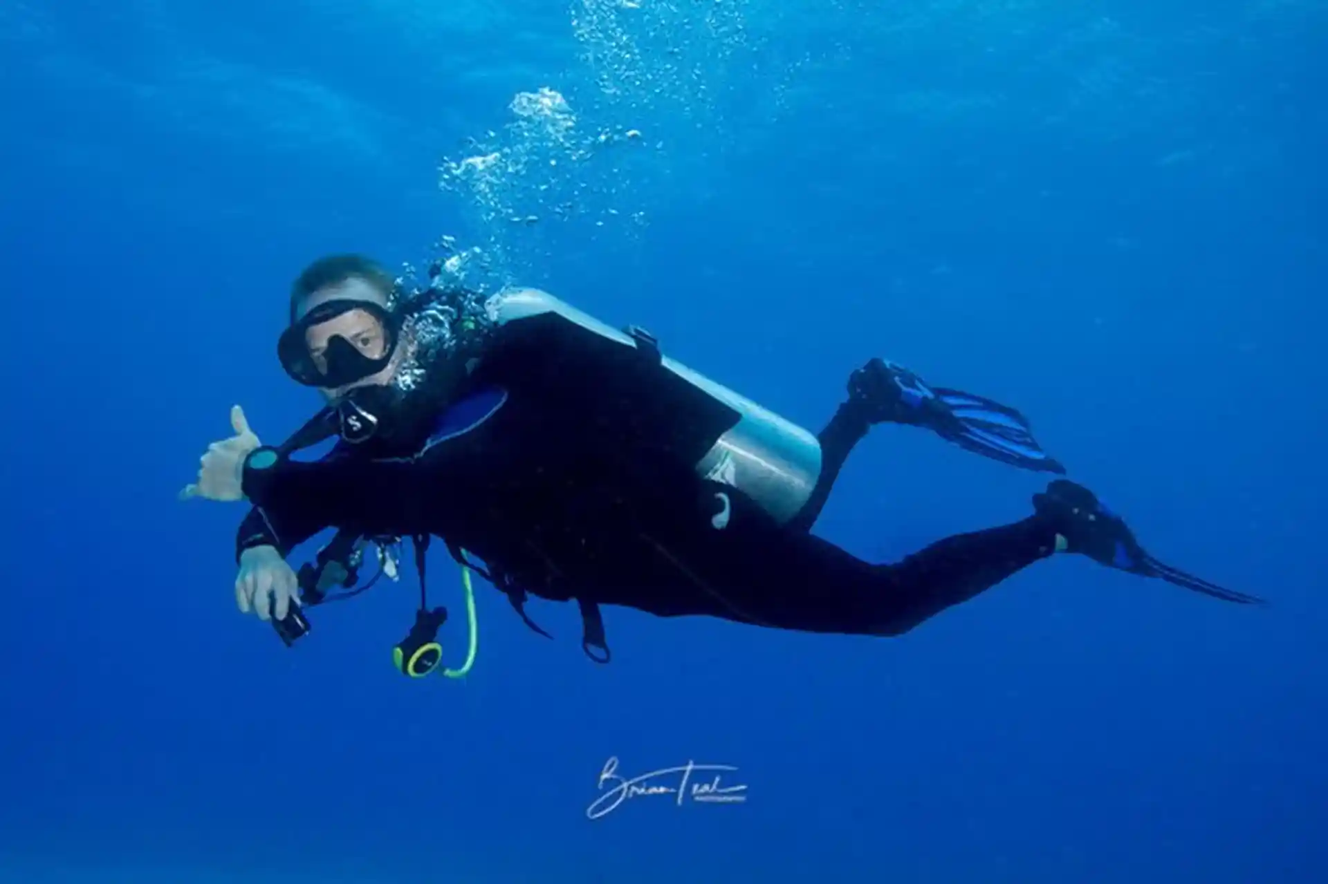 Photo de l'activité