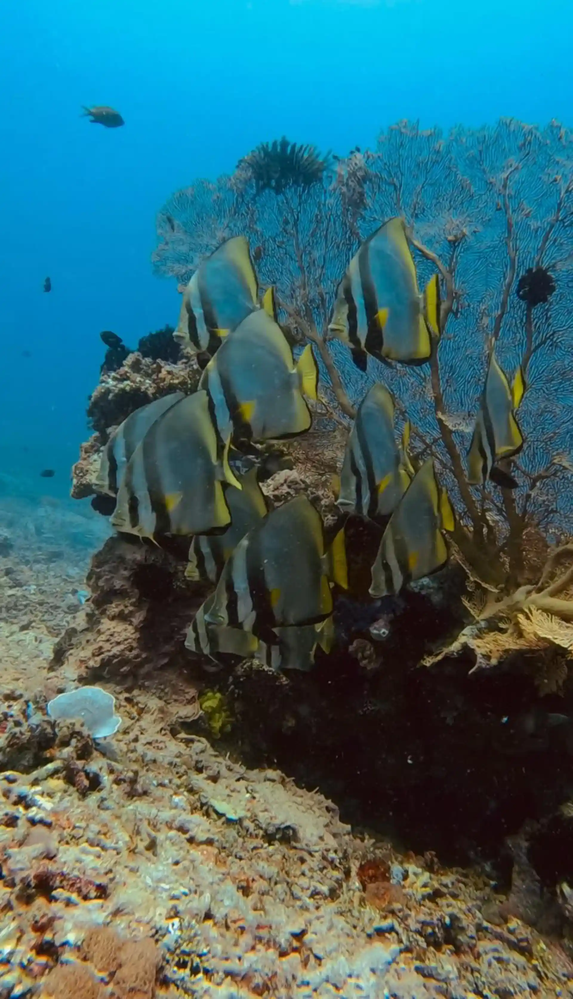 Dive site photo