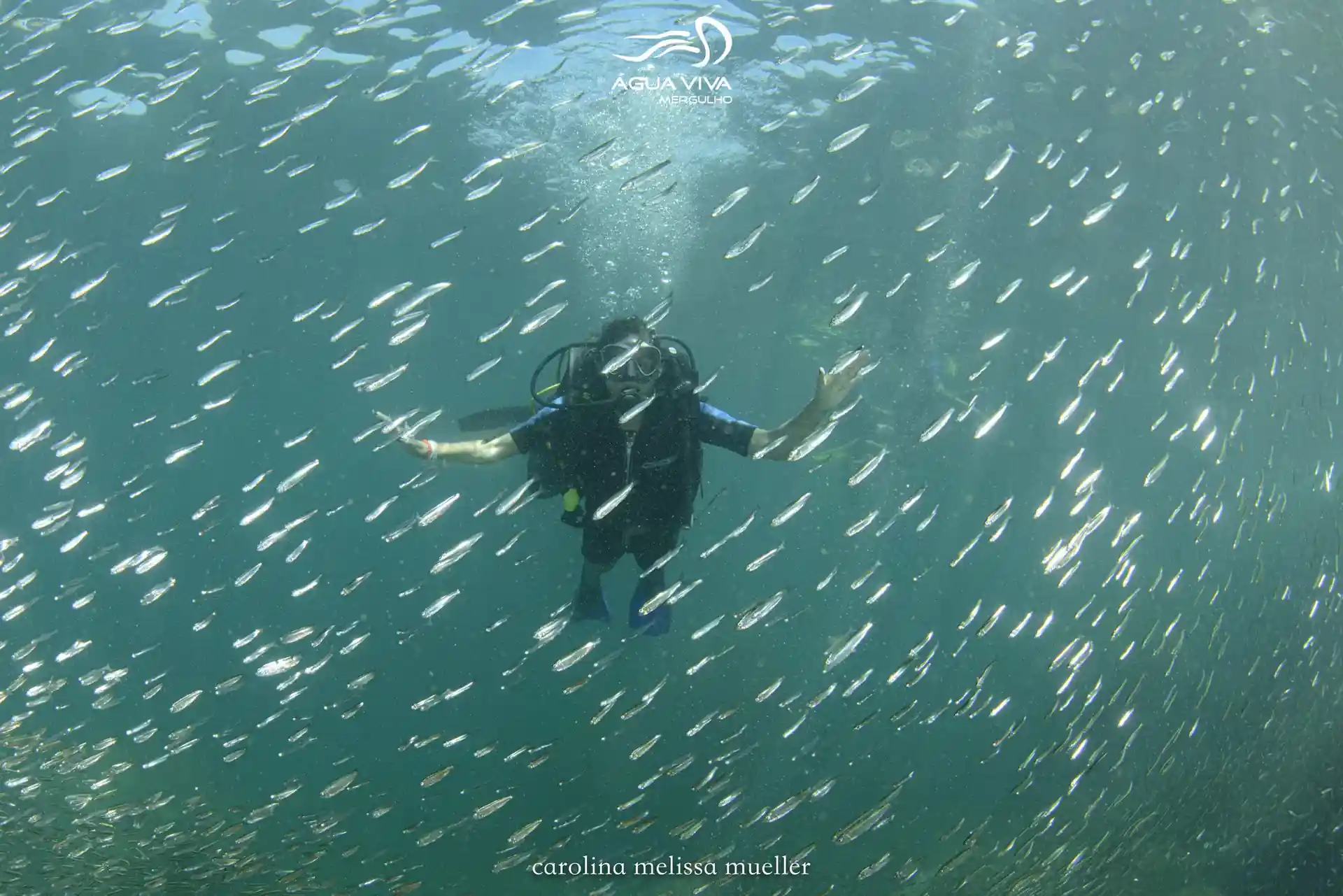 Foto del sitio de buceo