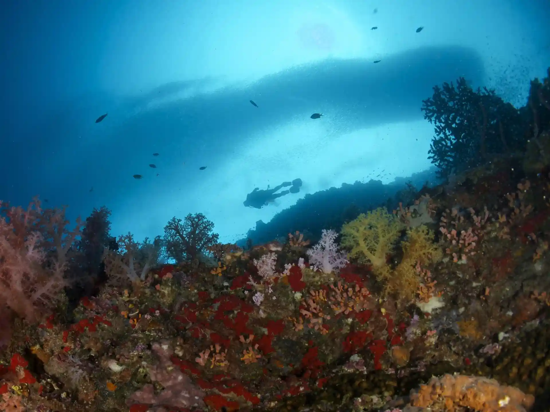 Dive site photo