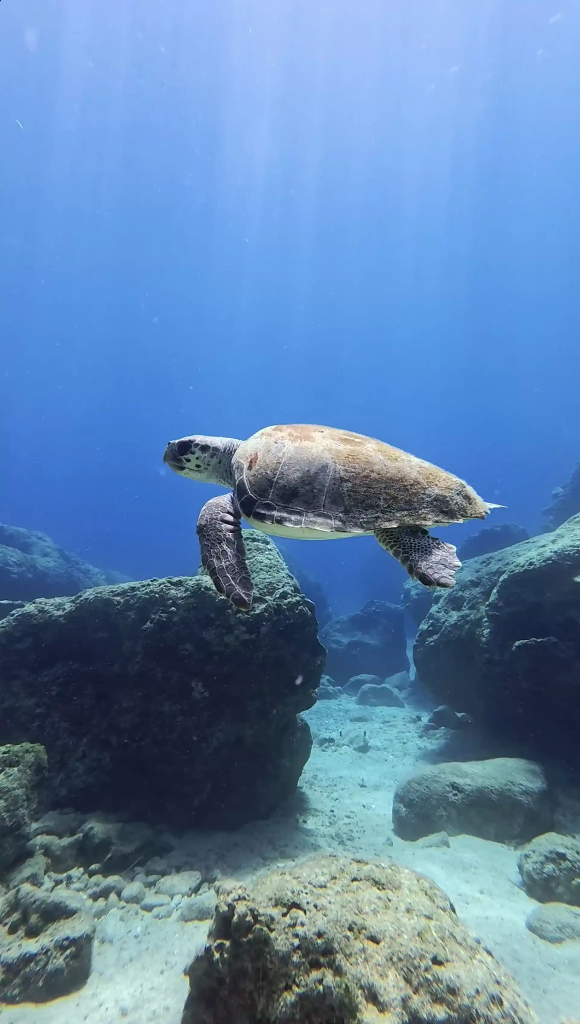 Dive site photo
