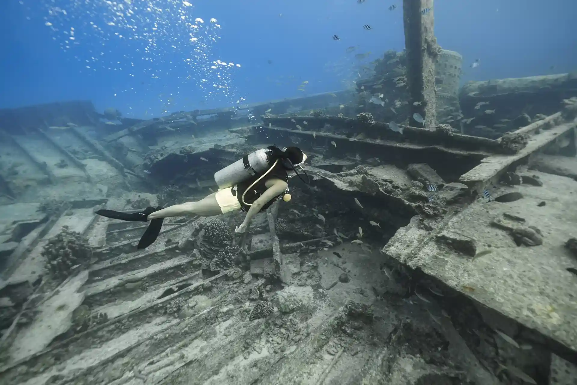 Dive site photo