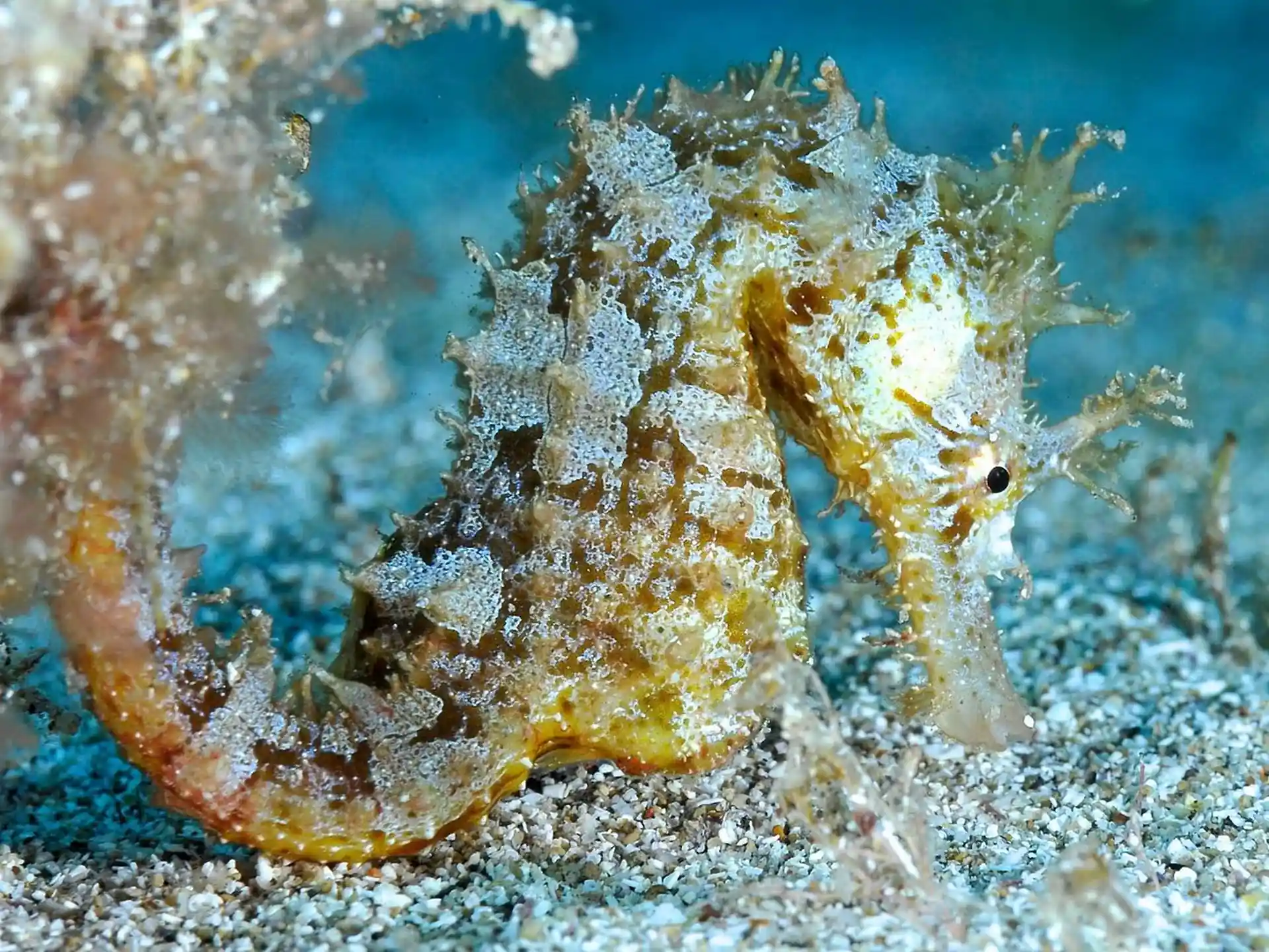 Photo de l'activité