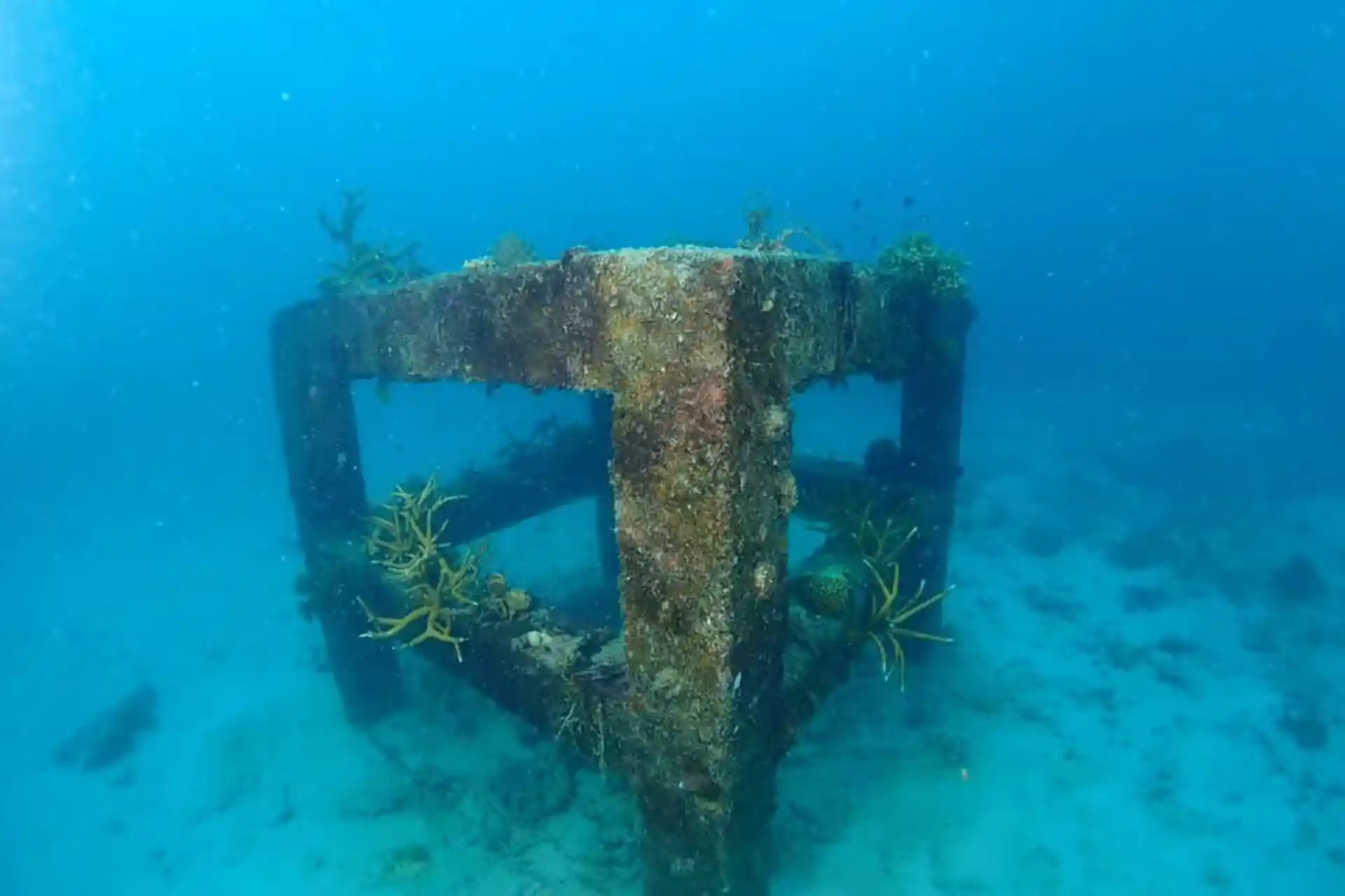 다이빙 포인트 사진