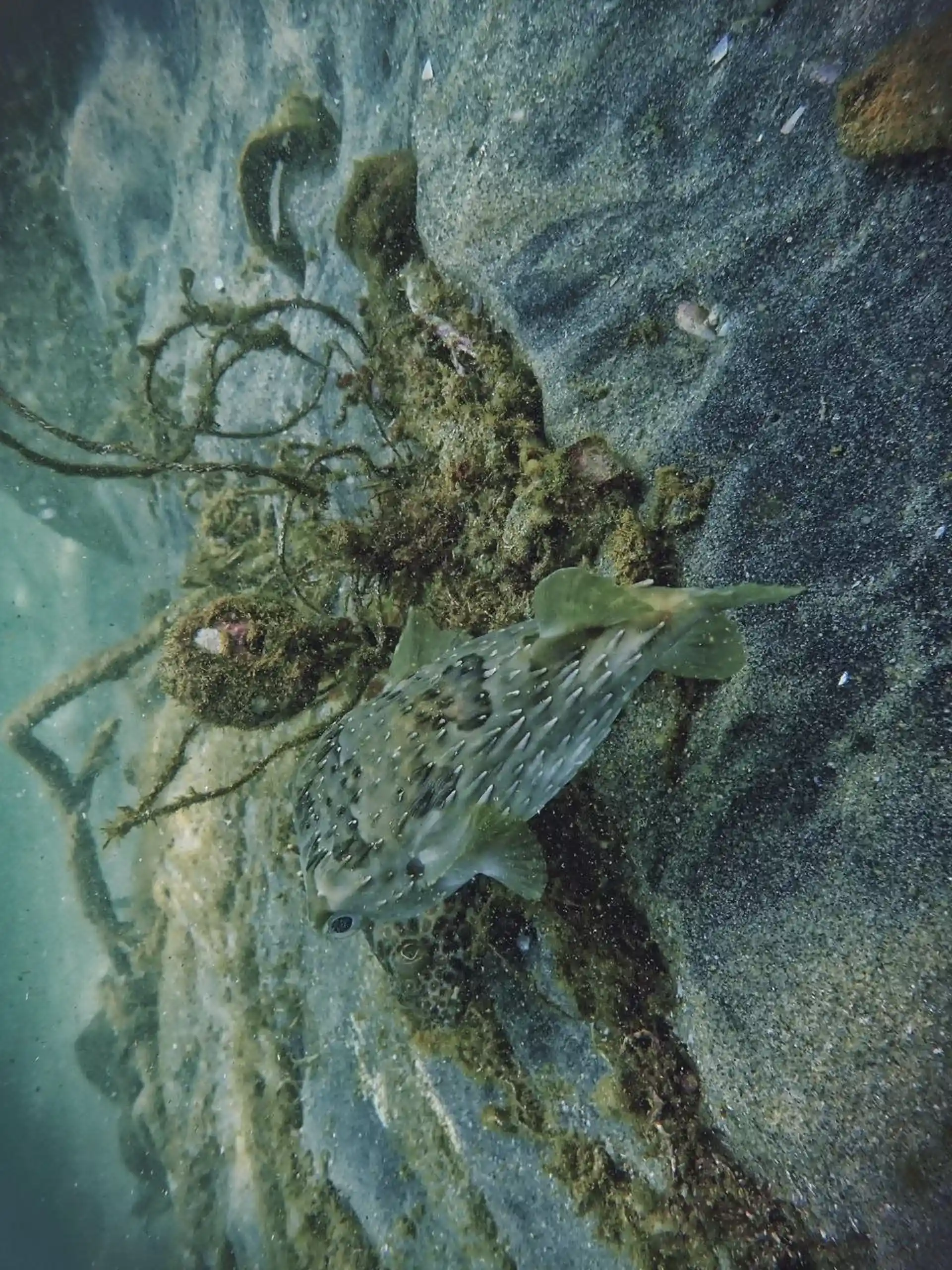 Dive shop photo