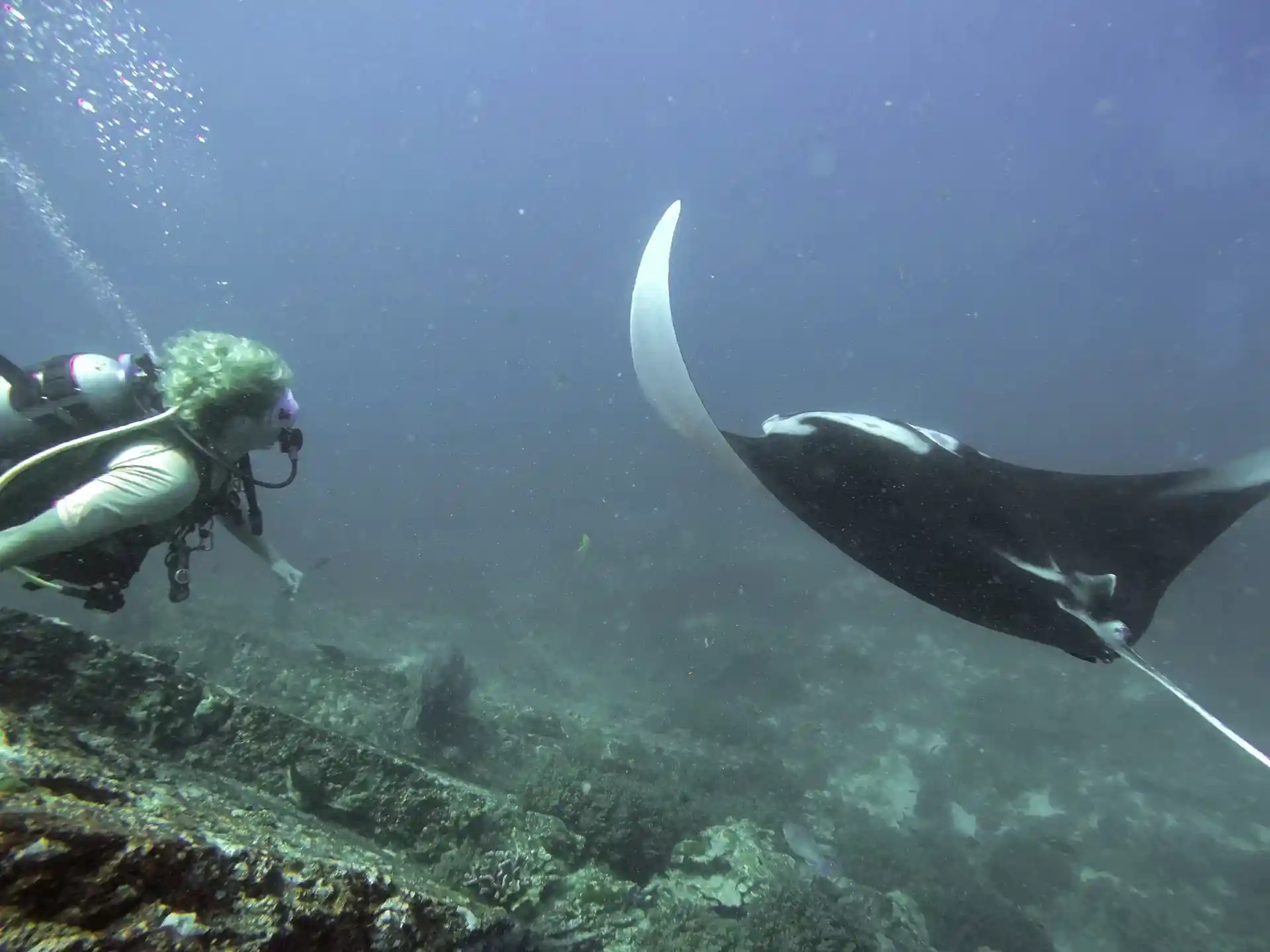 Photo du site de plongée