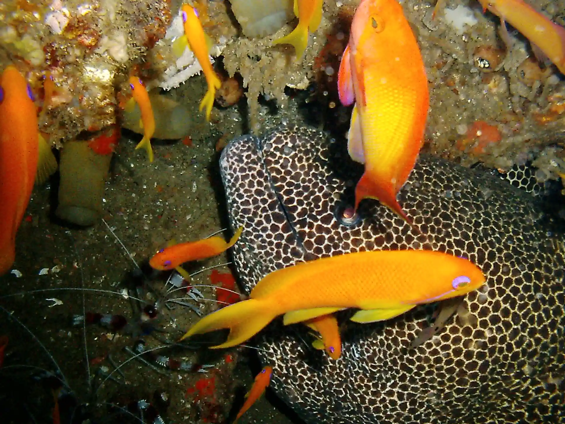 Dive site photo