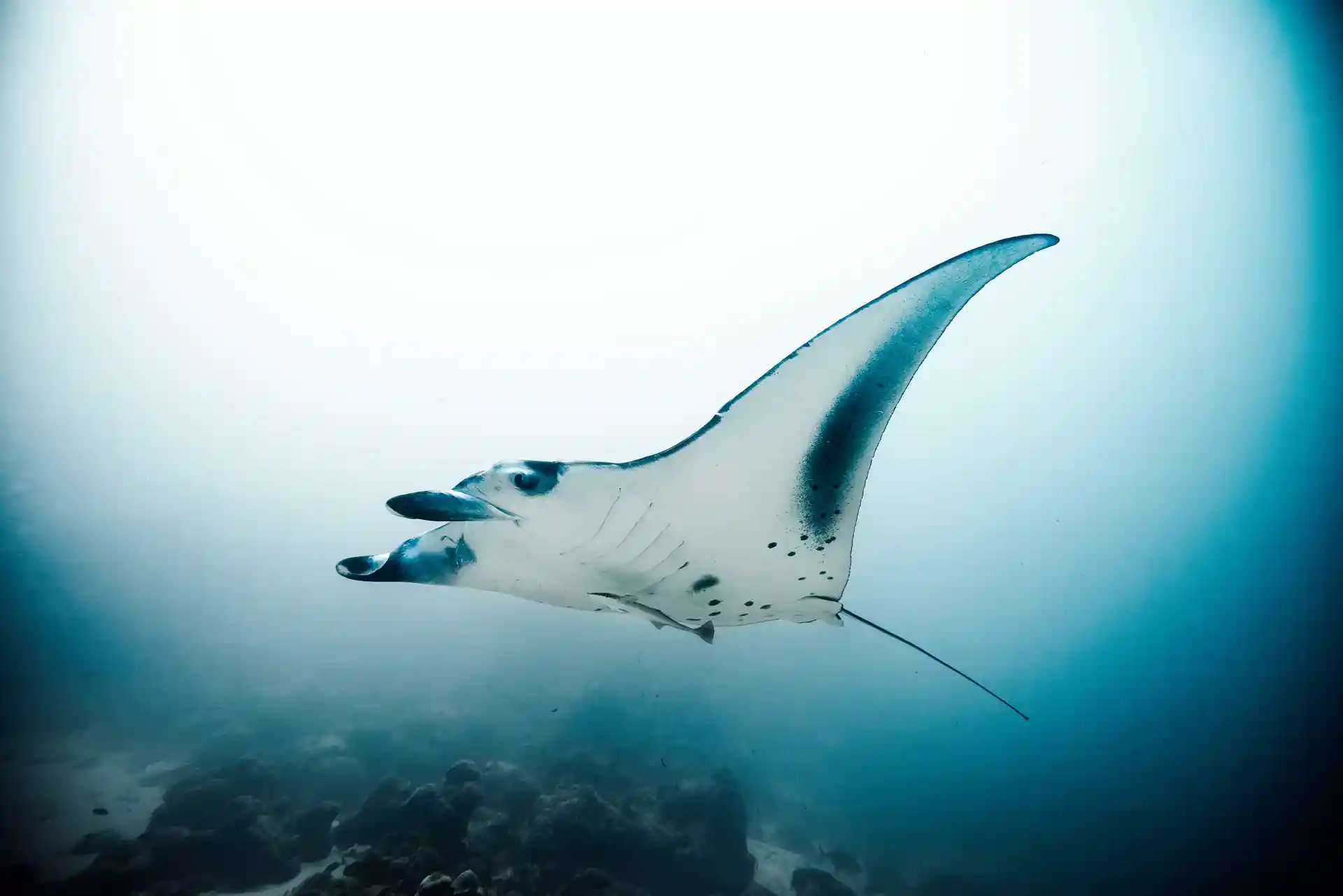 Dive shop photo
