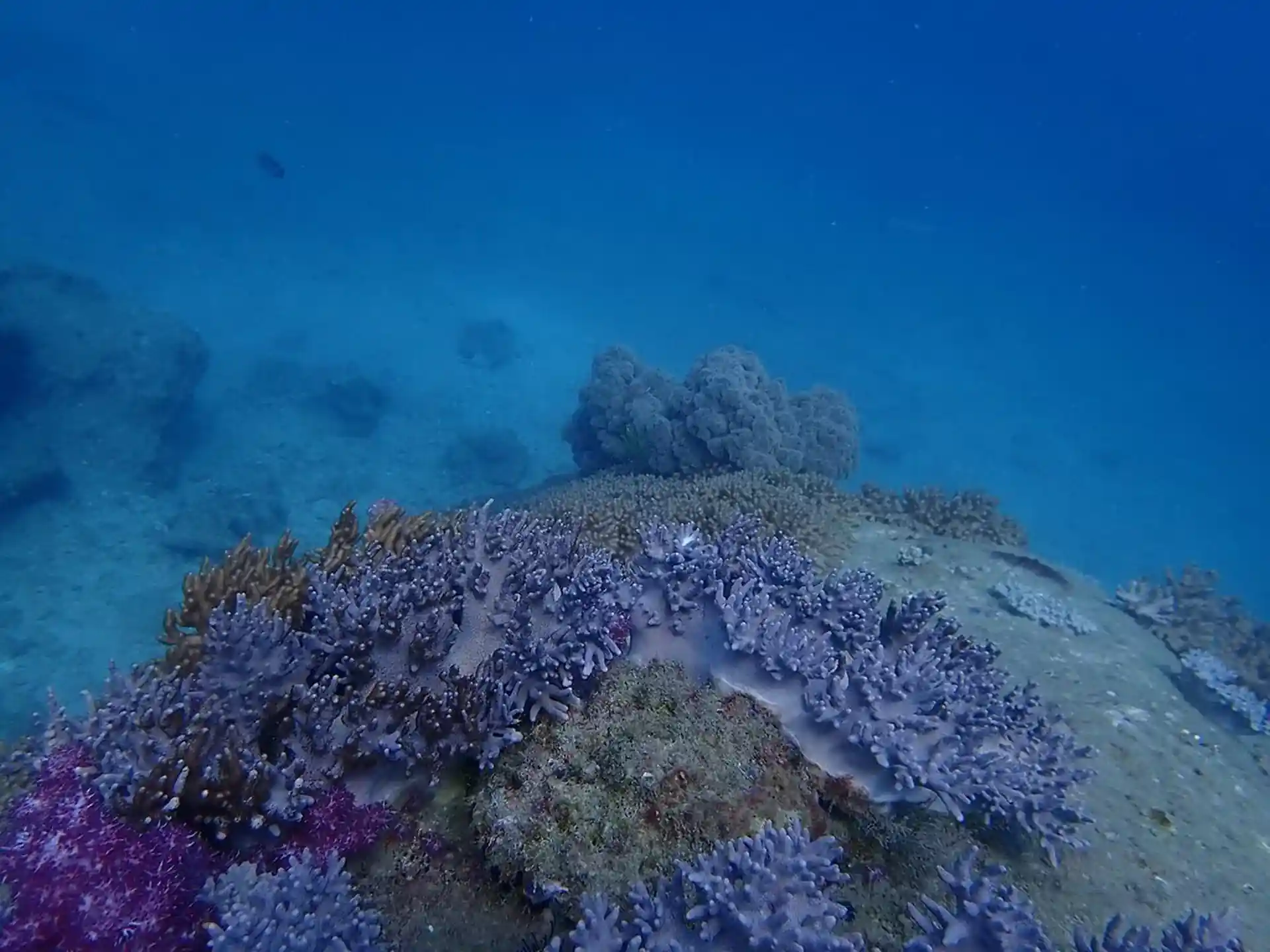 Dive site photo